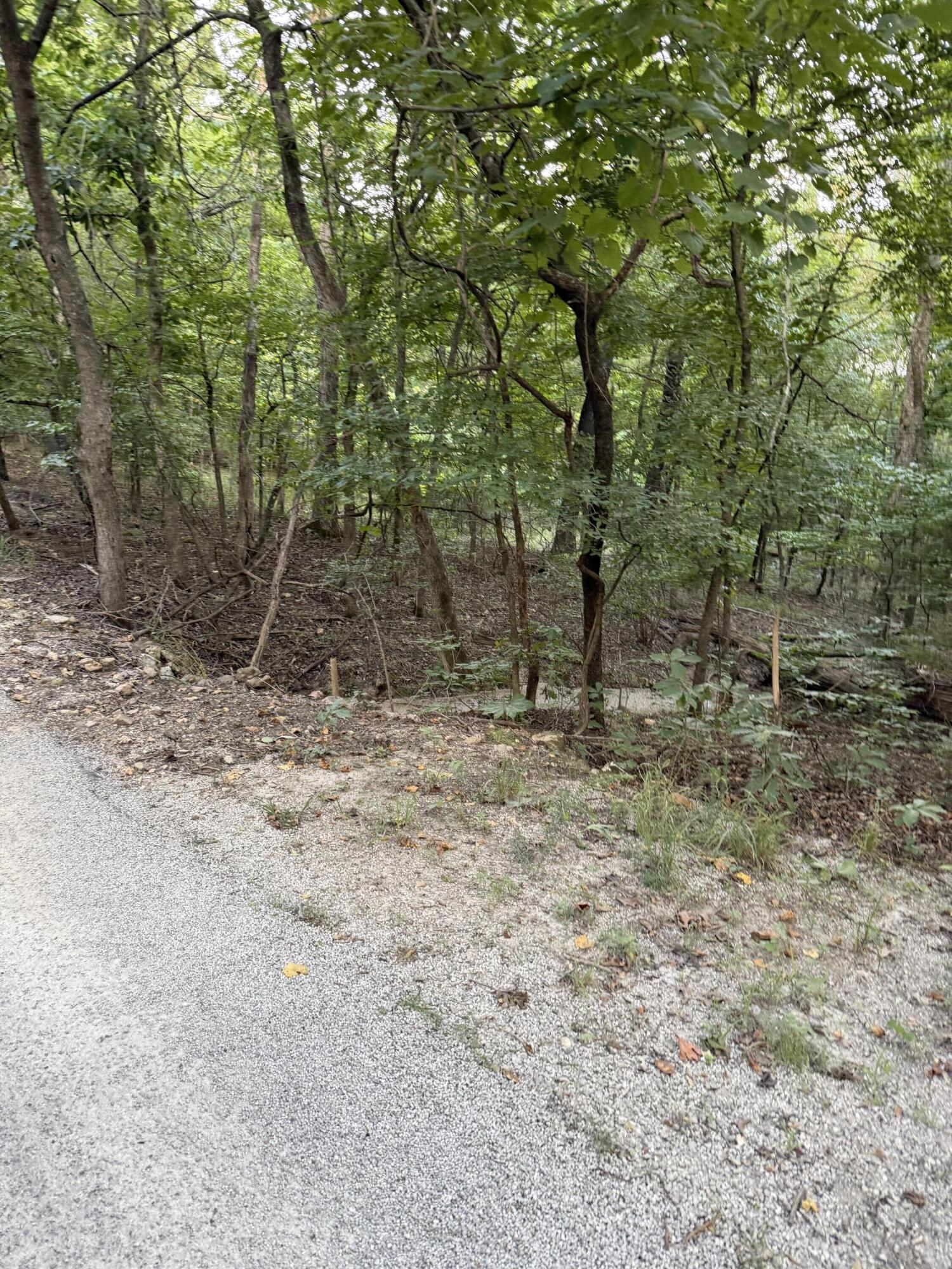 Photo 2 - Land for sale – Tbd  Chiefs Lane  Shell Knob, MO