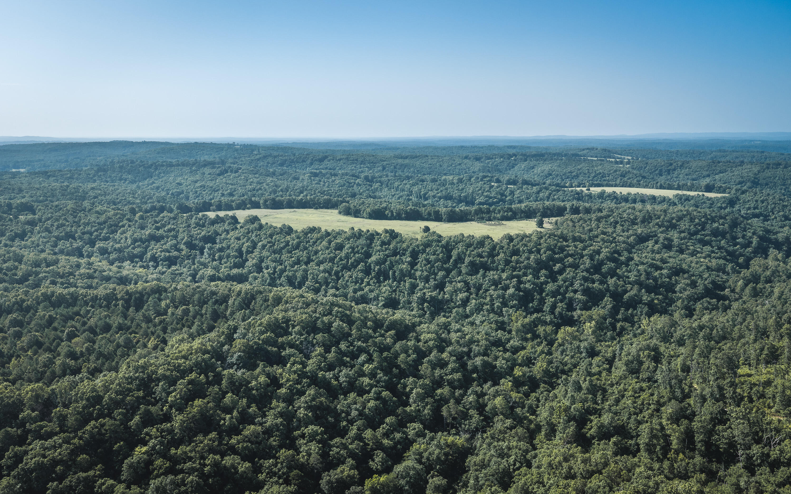 Land for sale – Tract 5  Private Drive  Norwood, MO