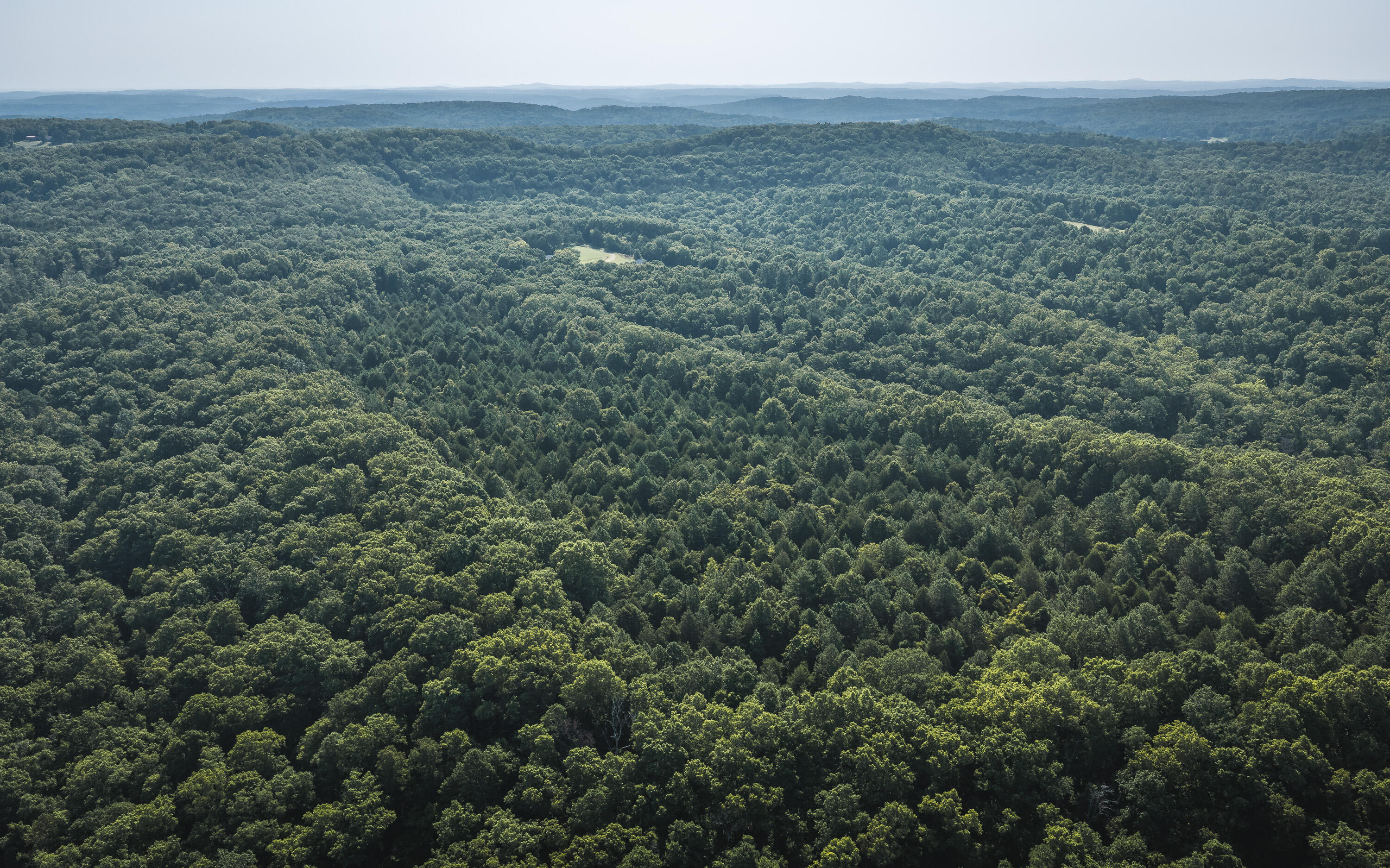 Photo 5 - Land for sale – Tract 5  Private Drive  Norwood, MO