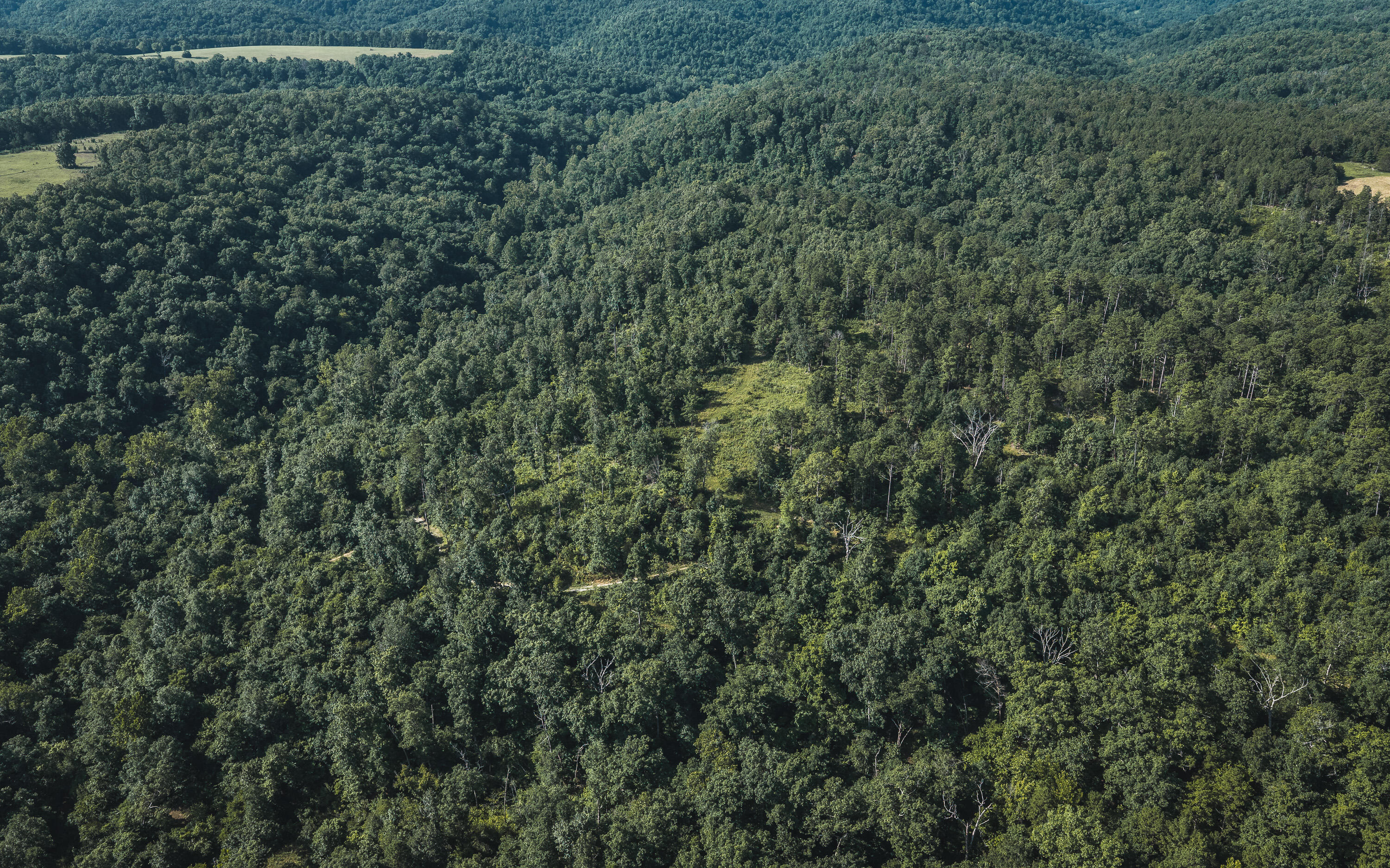 Photo 4 - Land for sale – Tract 5  Private Drive  Norwood, MO