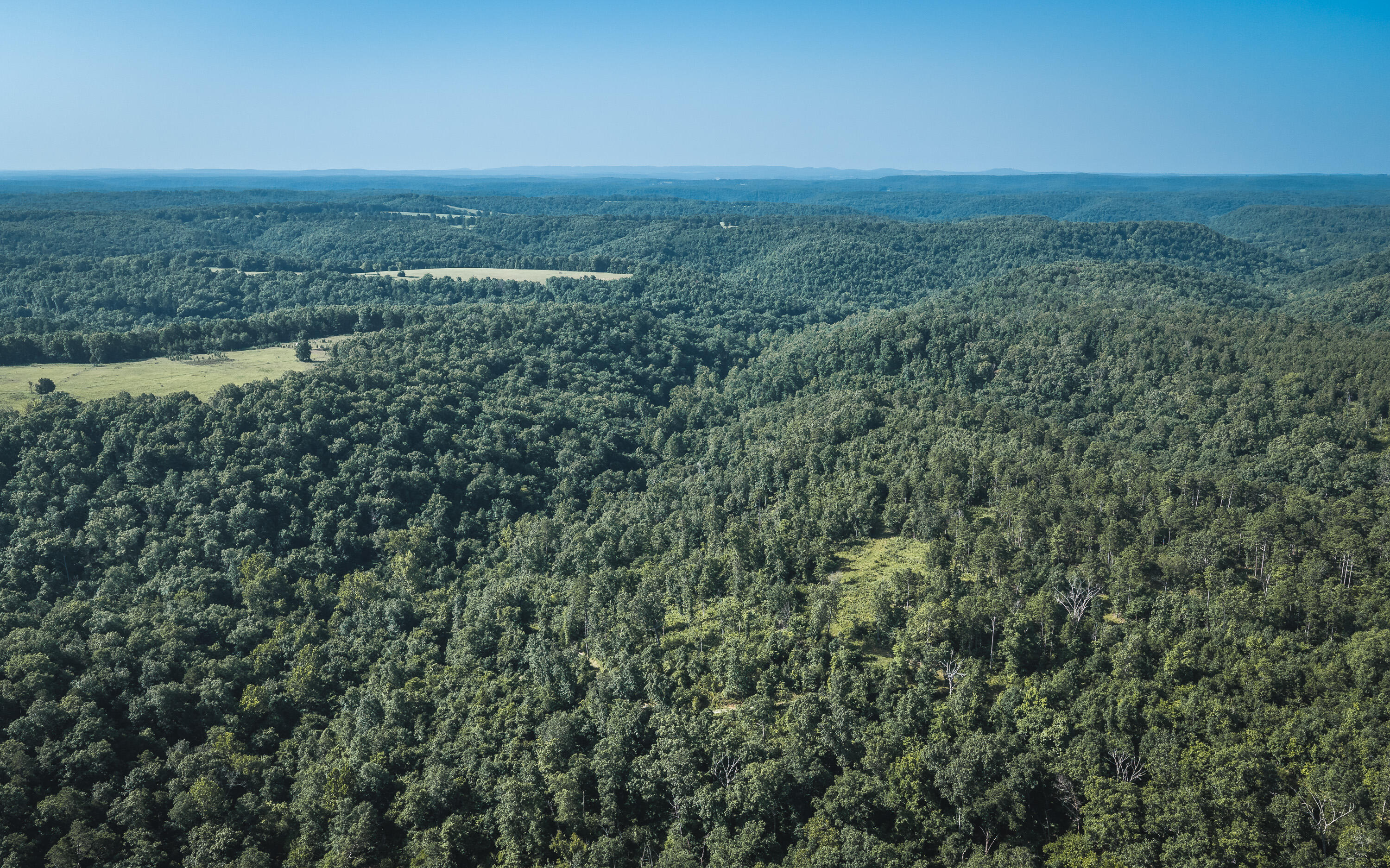 Photo 3 - Land for sale – Tract 5  Private Drive  Norwood, MO