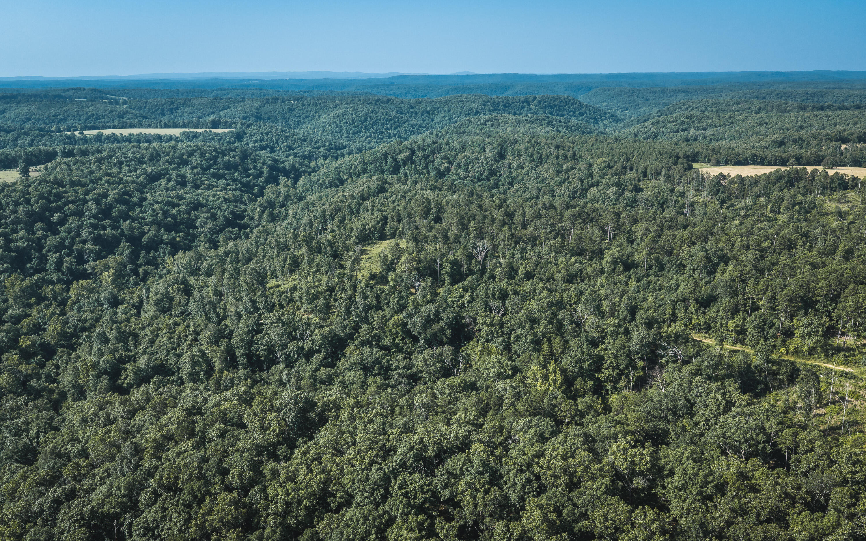 Photo 2 - Land for sale – Tract 5  Private Drive  Norwood, MO