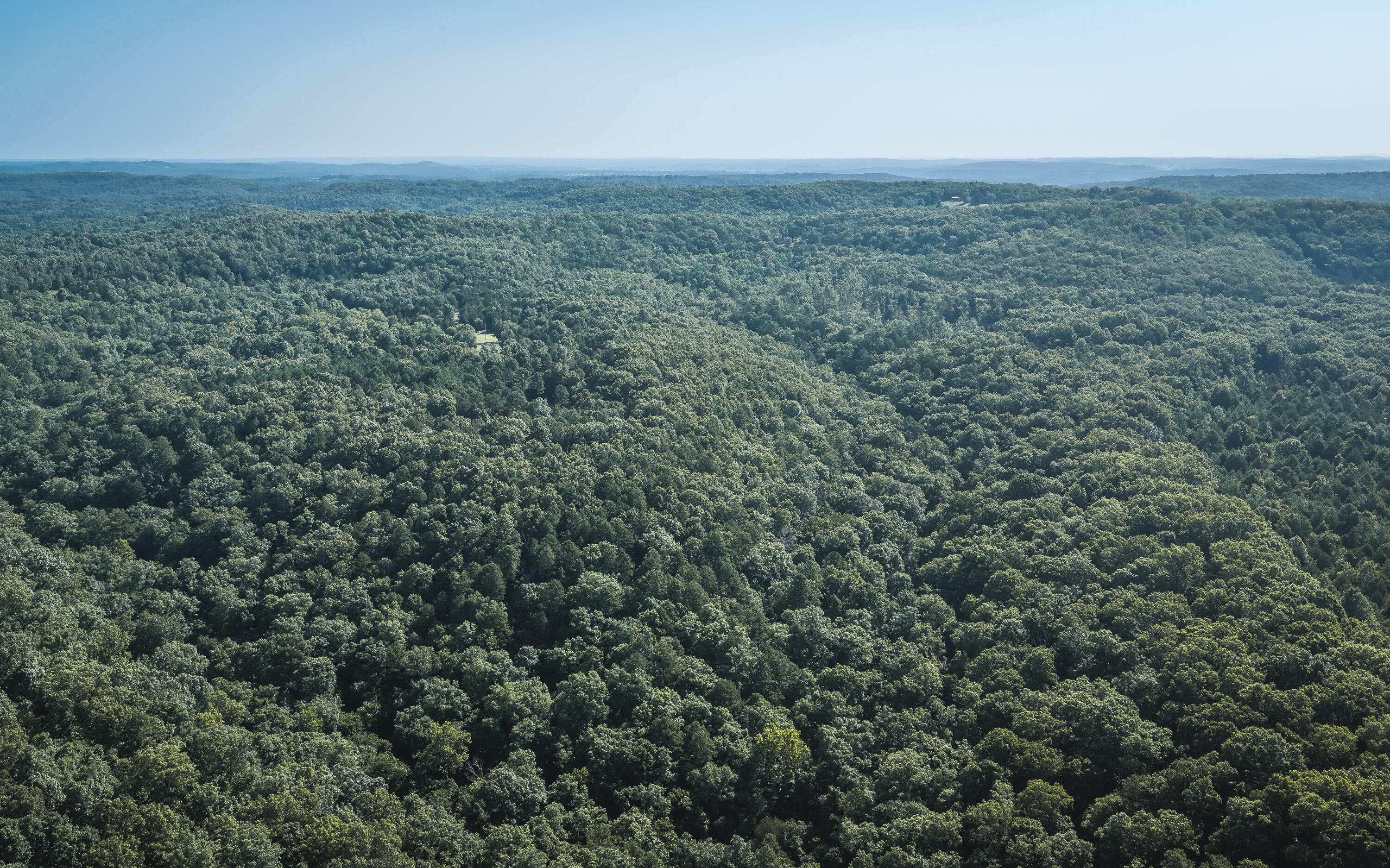 Photo 6 - Land for sale – Tract 5  Private Drive  Norwood, MO
