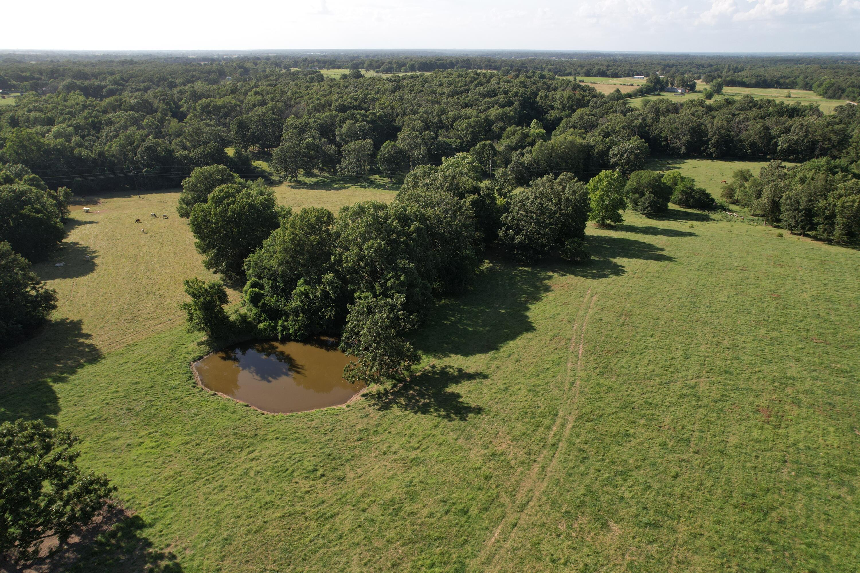 Photo 30 - Farm for sale – 6731  Raccoon Road  Granby, MO