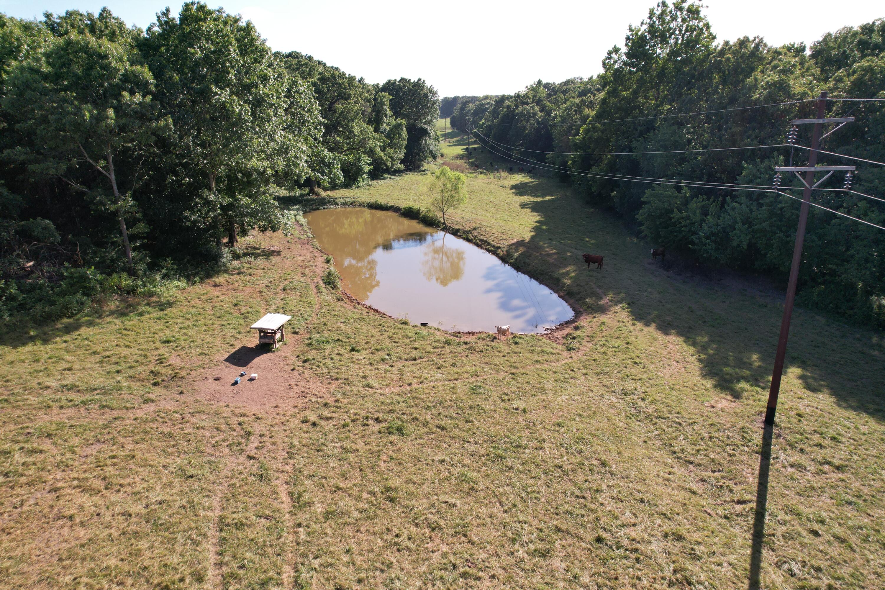 Photo 36 - Farm for sale – 6731  Raccoon Road  Granby, MO