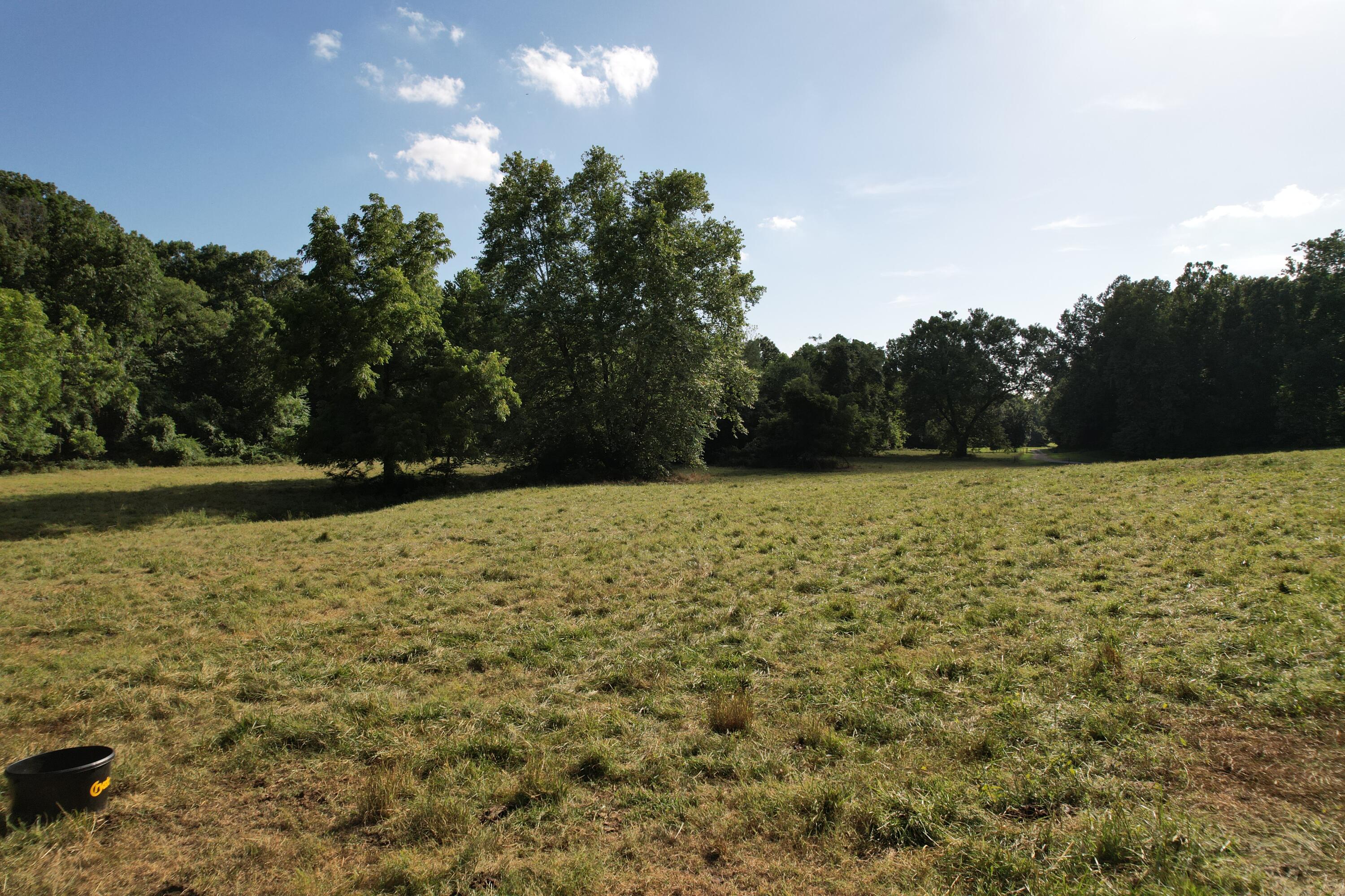 Photo 51 - Farm for sale – 6731  Raccoon Road  Granby, MO
