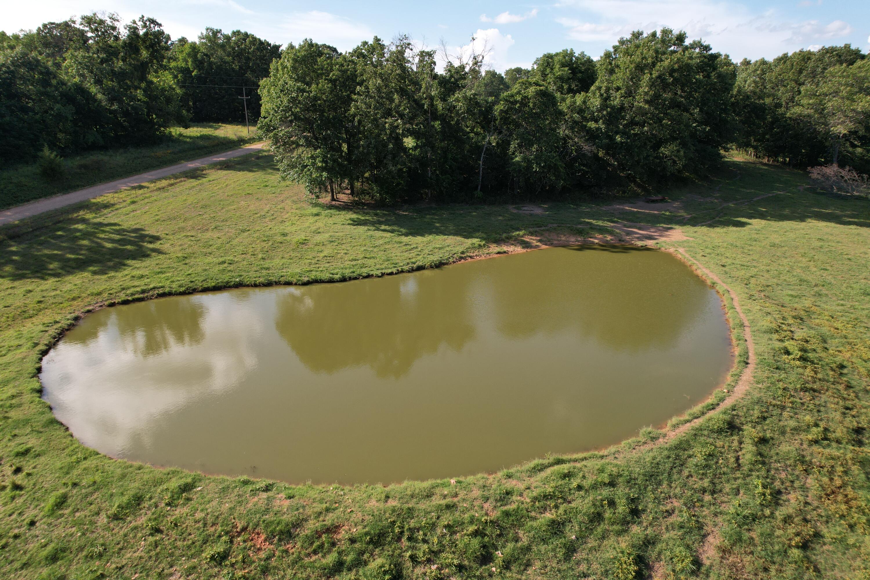 Photo 10 - Farm for sale – 6731  Raccoon Road  Granby, MO