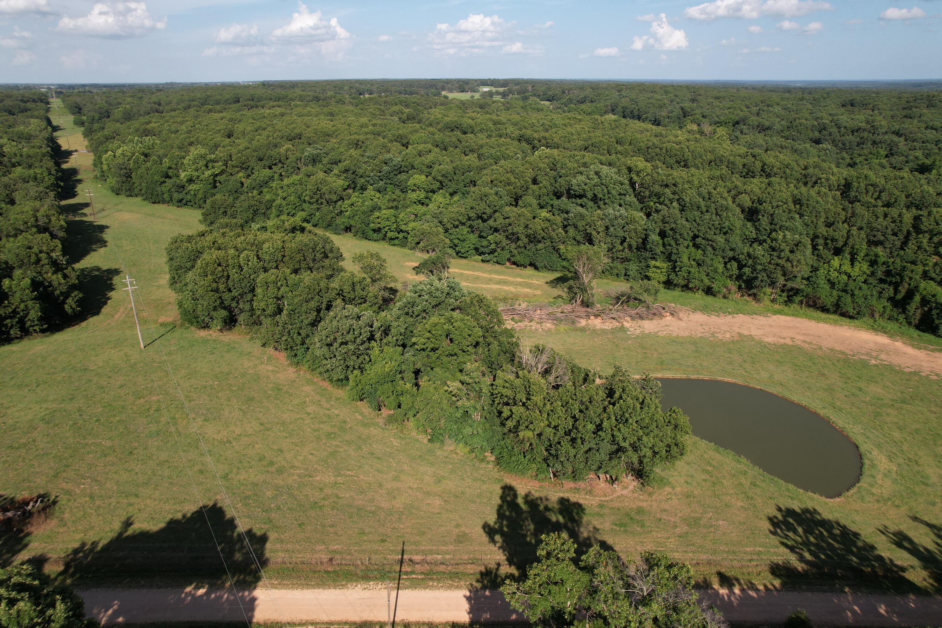Photo 11 - Farm for sale – 6731  Raccoon Road  Granby, MO
