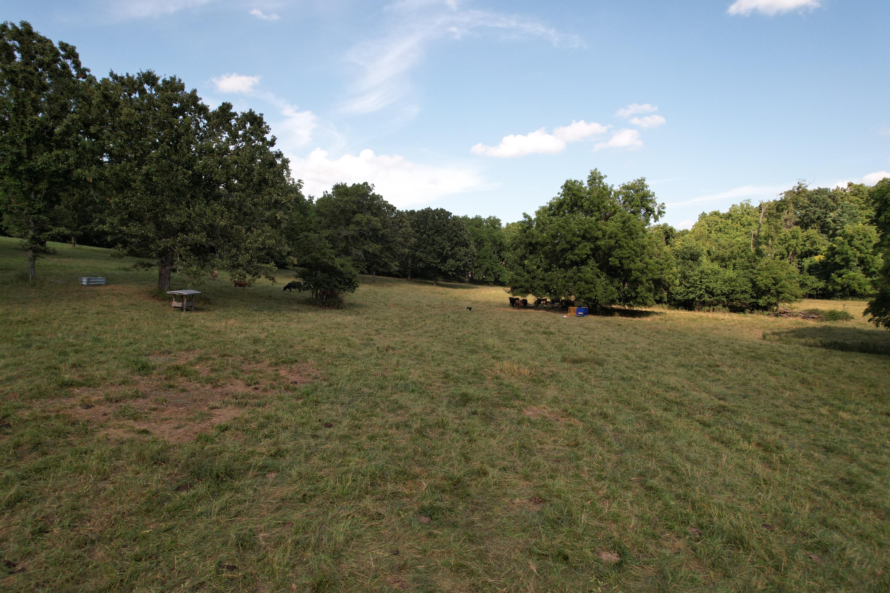 Photo 48 - Farm for sale – 6731  Raccoon Road  Granby, MO