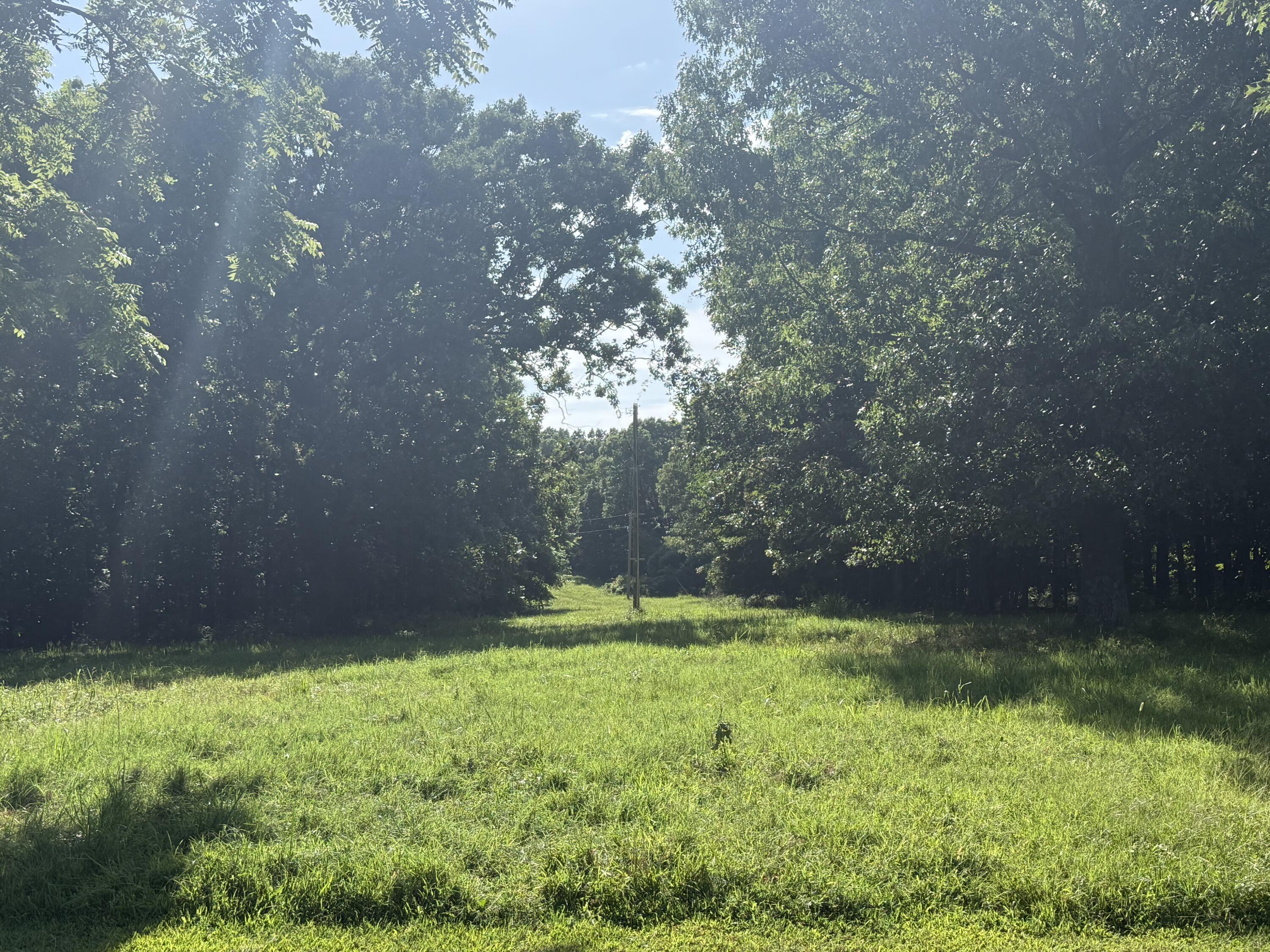 Photo 104 - Farm for sale – 6731  Raccoon Road  Granby, MO