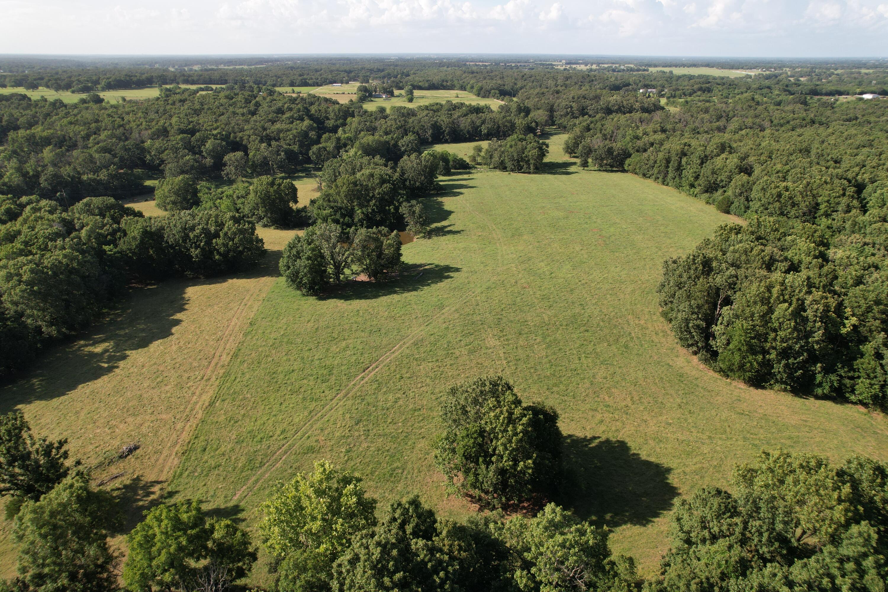 Photo 26 - Farm for sale – 6731  Raccoon Road  Granby, MO