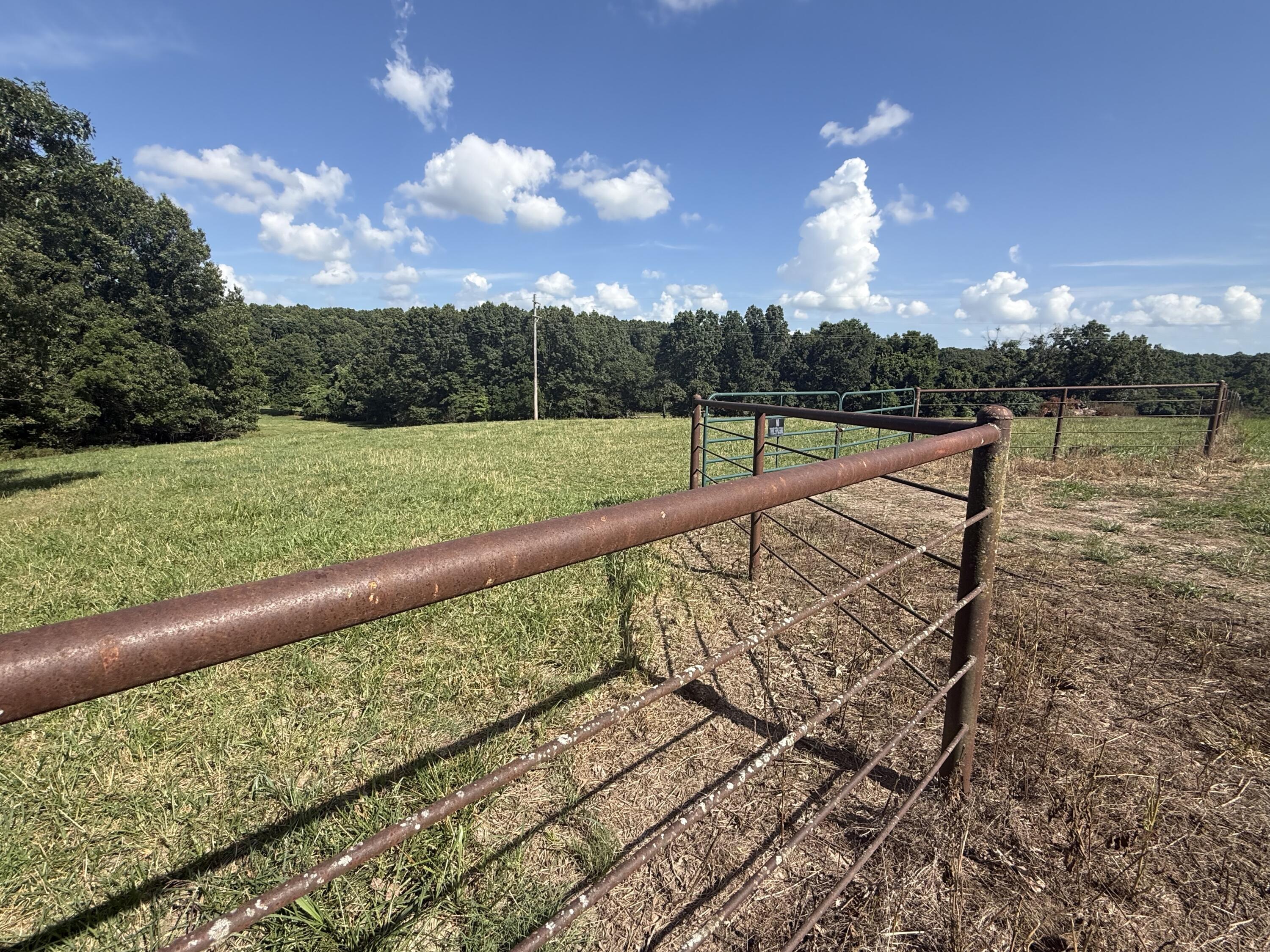 Photo 56 - Farm for sale – 6731  Raccoon Road  Granby, MO