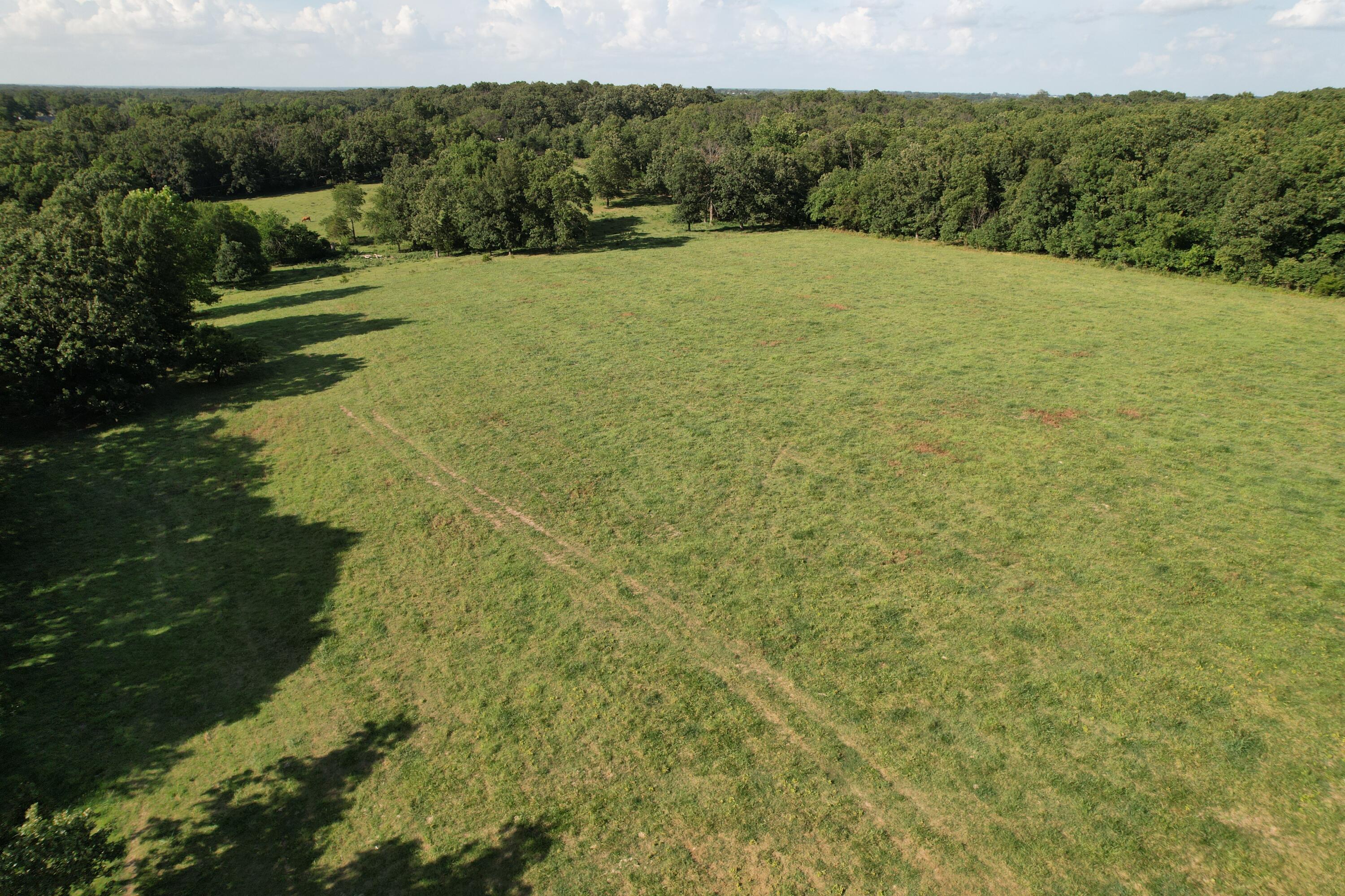 Photo 32 - Farm for sale – 6731  Raccoon Road  Granby, MO