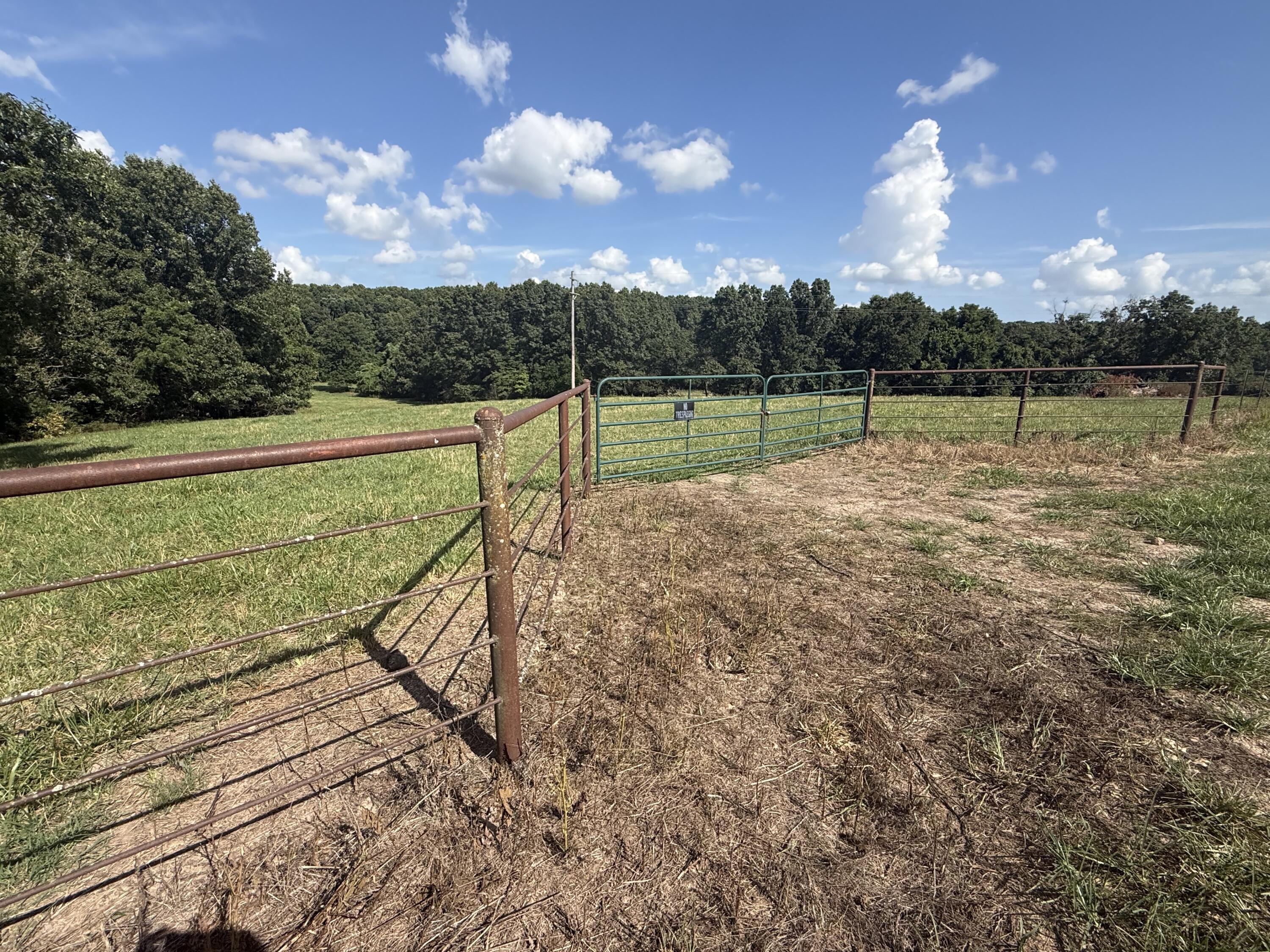 Photo 54 - Farm for sale – 6731  Raccoon Road  Granby, MO