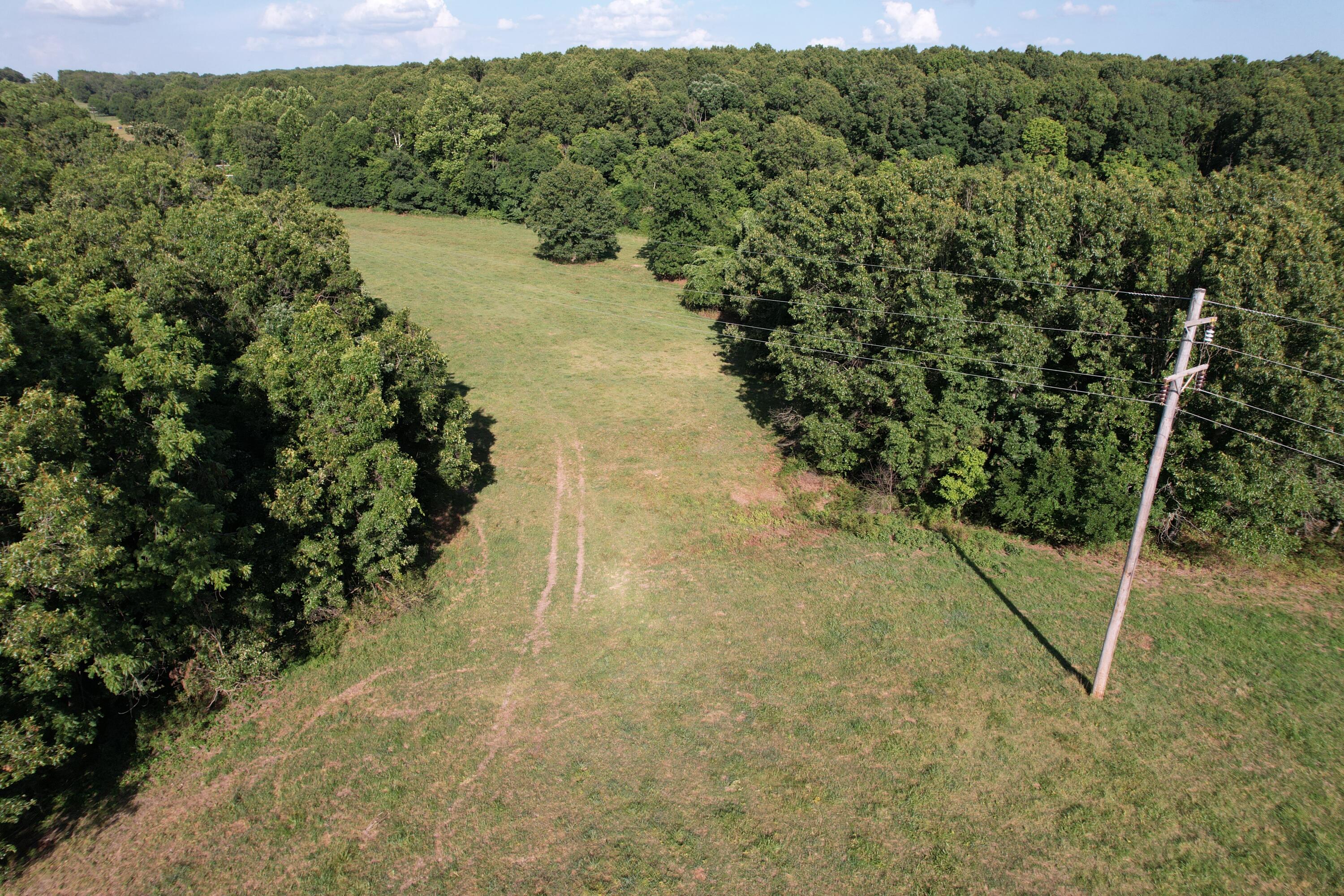 Photo 16 - Farm for sale – 6731  Raccoon Road  Granby, MO