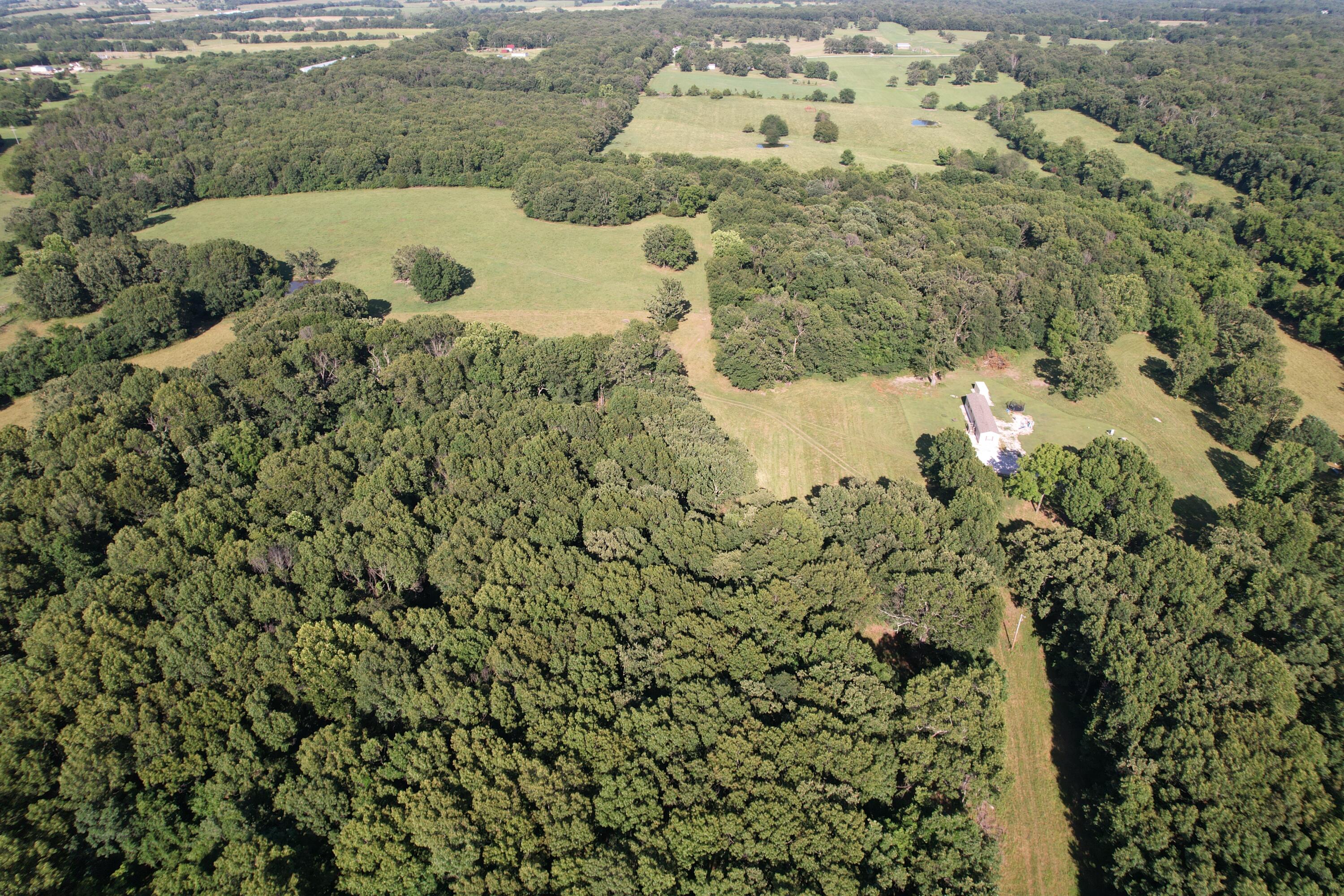 Photo 18 - Farm for sale – 6731  Raccoon Road  Granby, MO