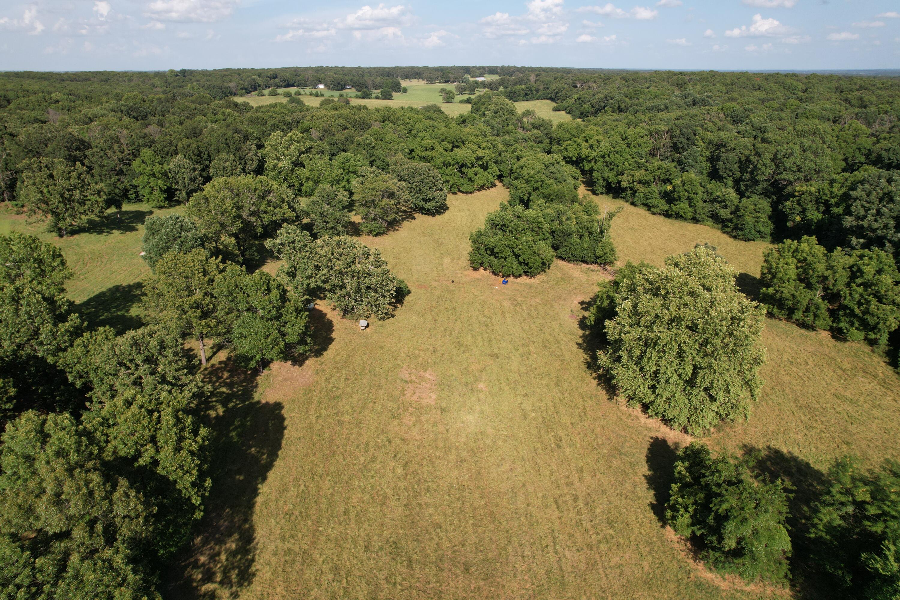 Photo 14 - Farm for sale – 6731  Raccoon Road  Granby, MO