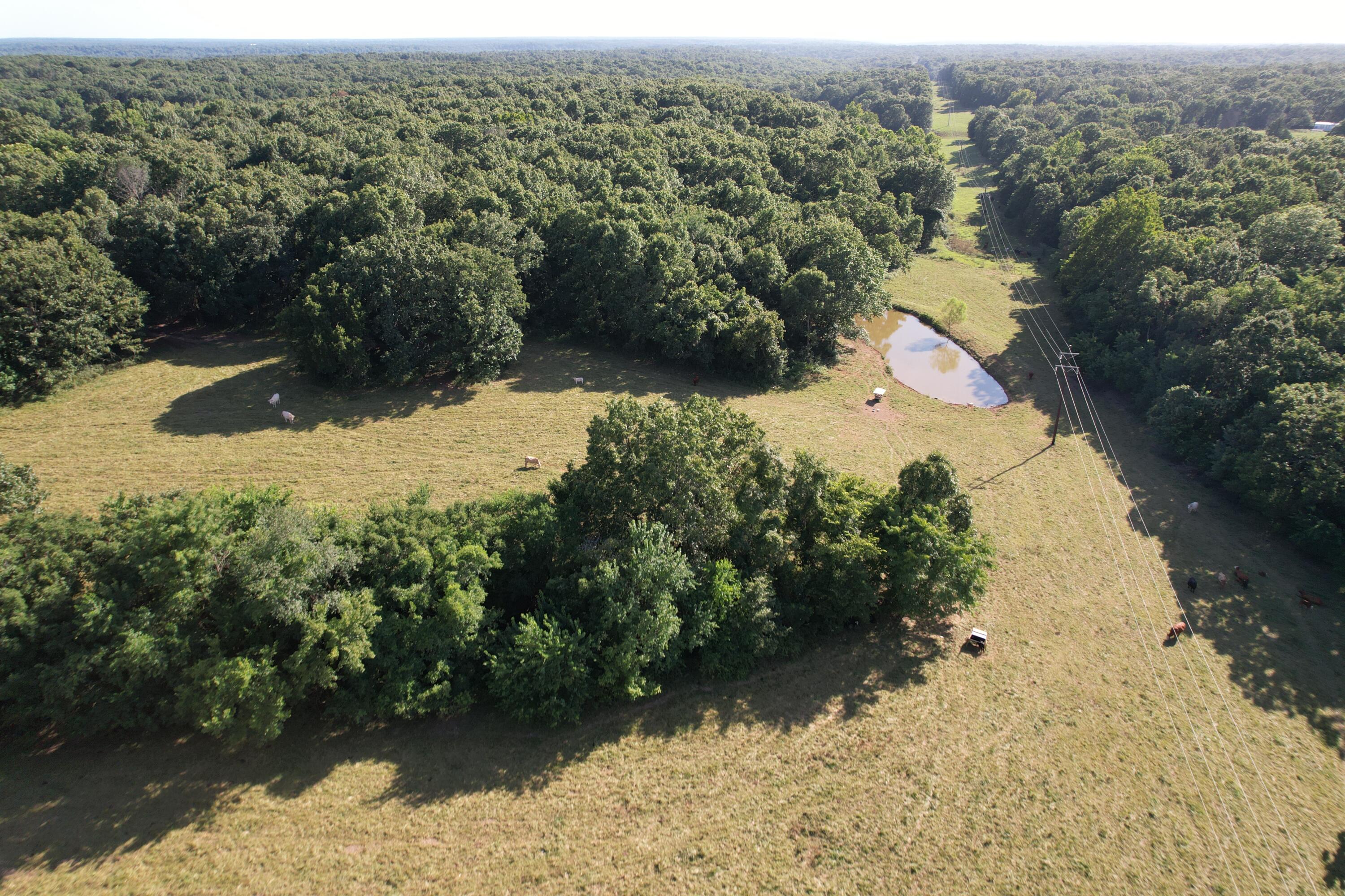 Photo 35 - Farm for sale – 6731  Raccoon Road  Granby, MO