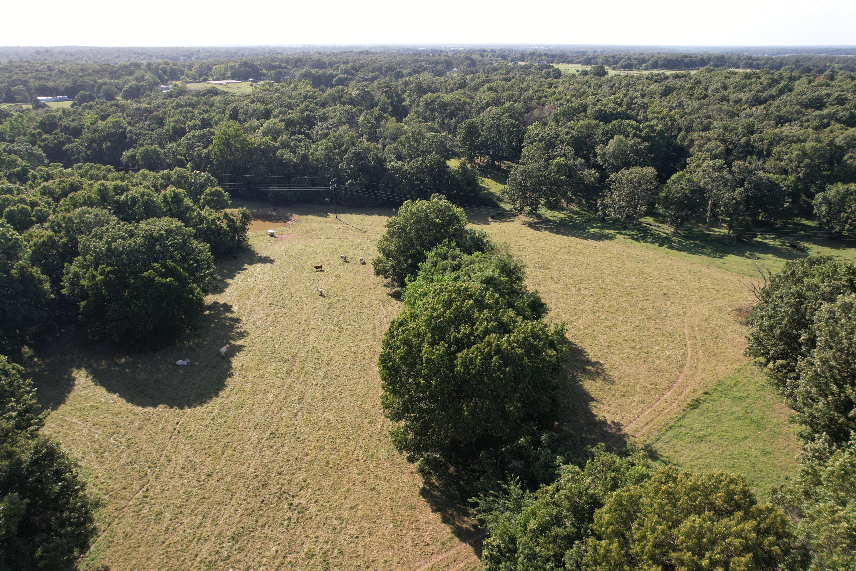 Photo 33 - Farm for sale – 6731  Raccoon Road  Granby, MO