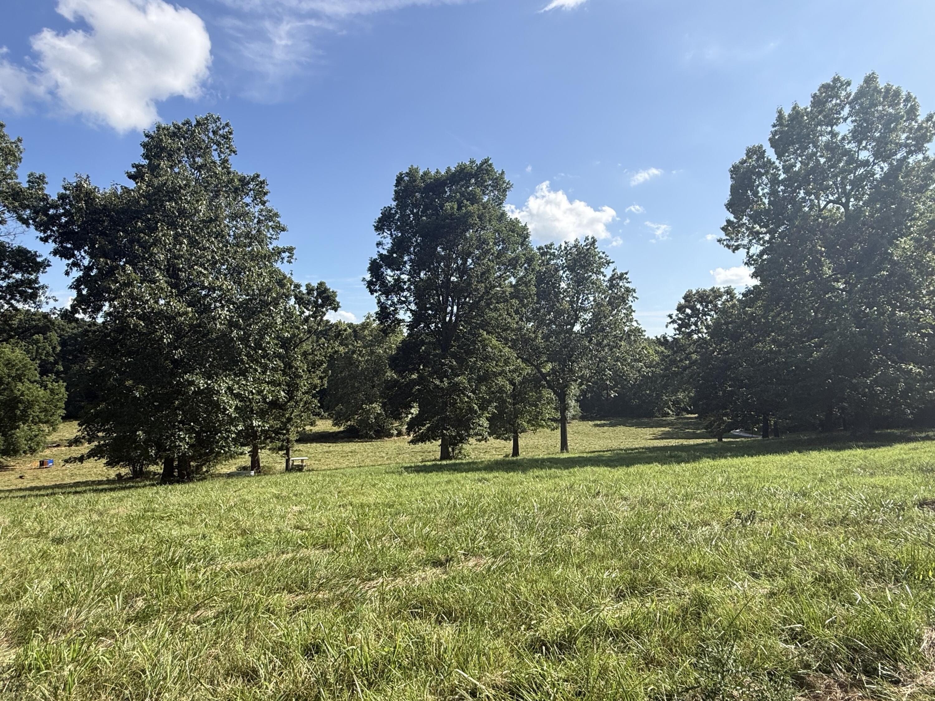 Photo 78 - Farm for sale – 6731  Raccoon Road  Granby, MO