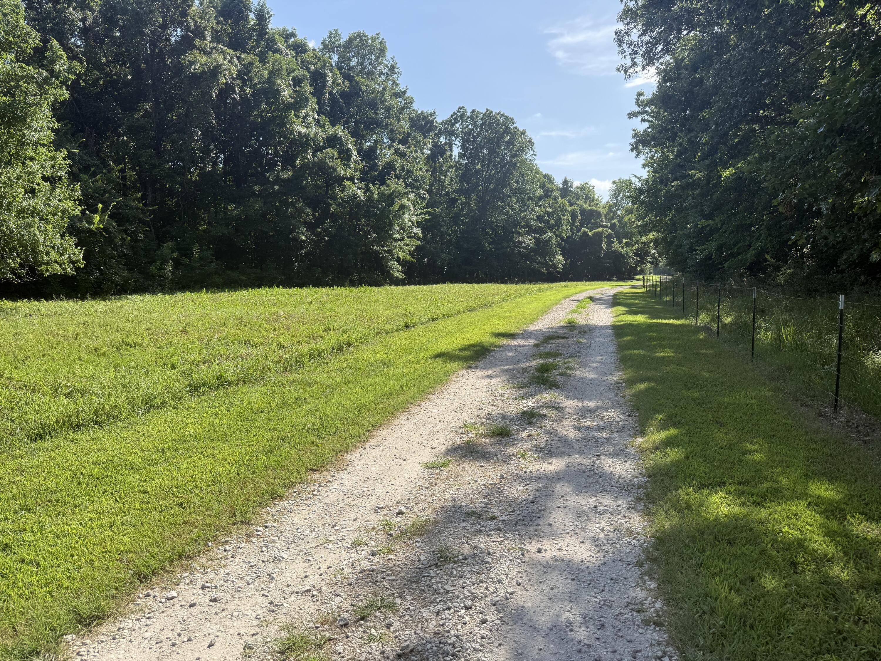 Photo 68 - Farm for sale – 6731  Raccoon Road  Granby, MO