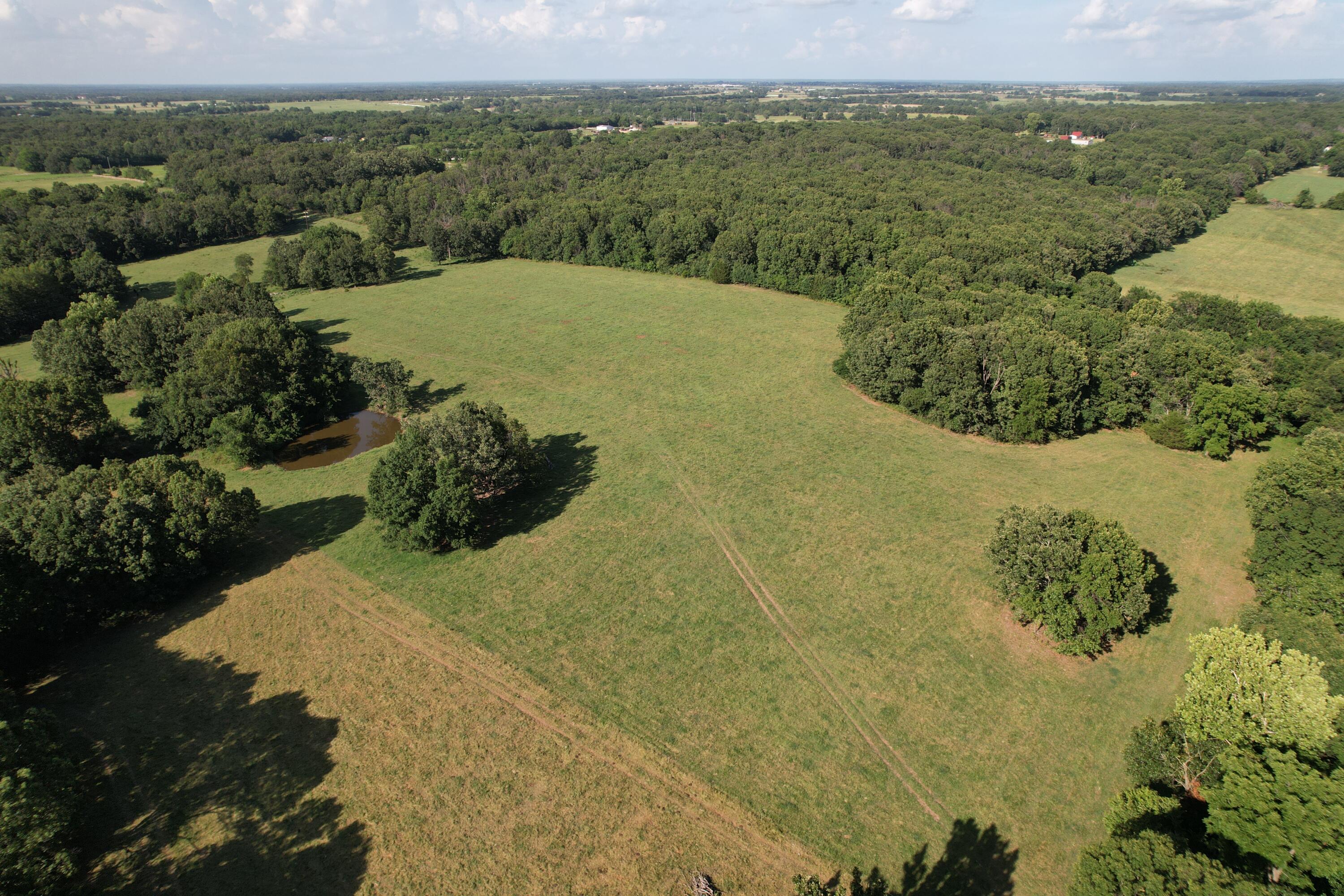 Photo 25 - Farm for sale – 6731  Raccoon Road  Granby, MO
