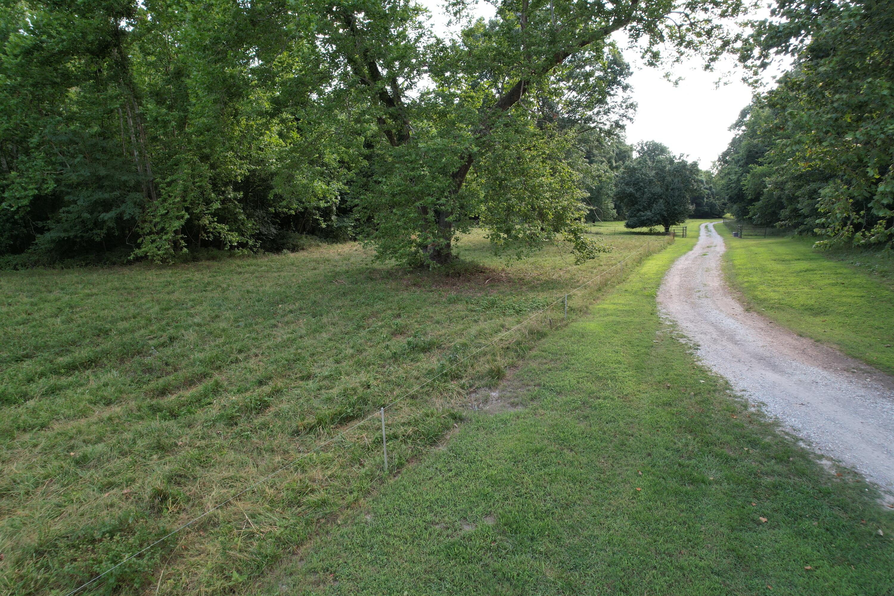 Photo 45 - Farm for sale – 6731  Raccoon Road  Granby, MO