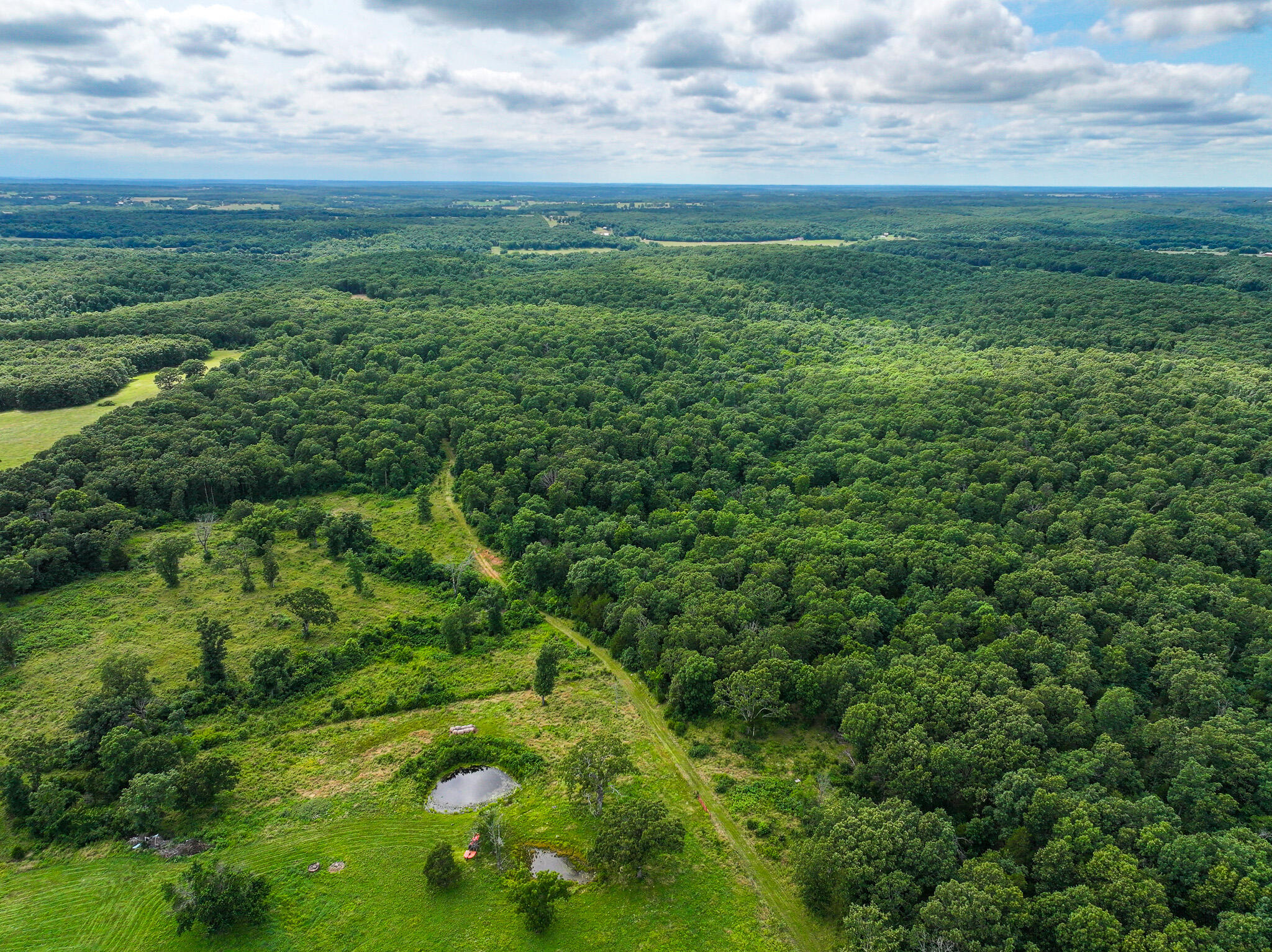 Photo 25 - Land for sale – 0000 SE 1151 Road  Collins, MO