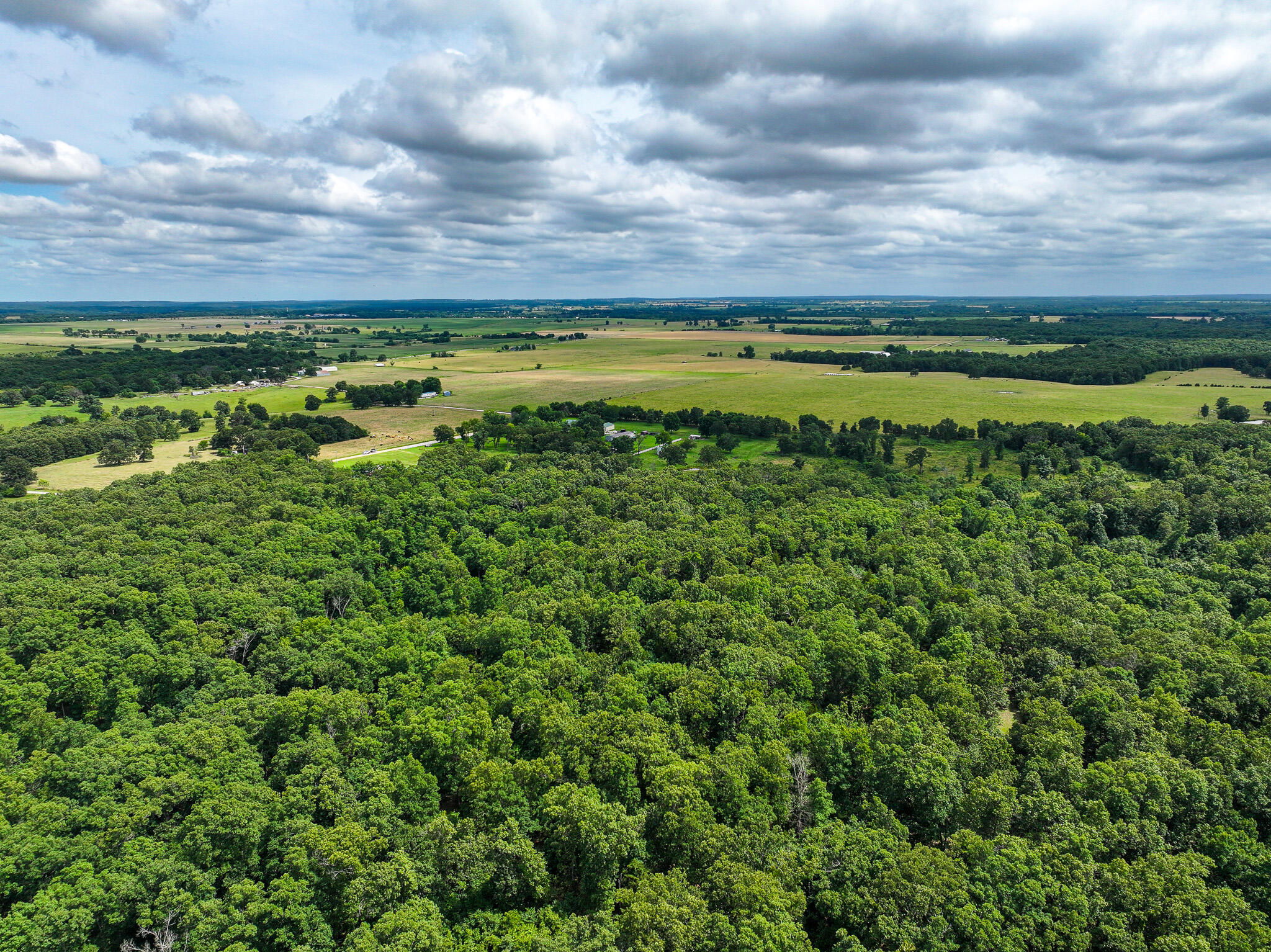 Photo 14 - Land for sale – 0000 SE 1151 Road  Collins, MO
