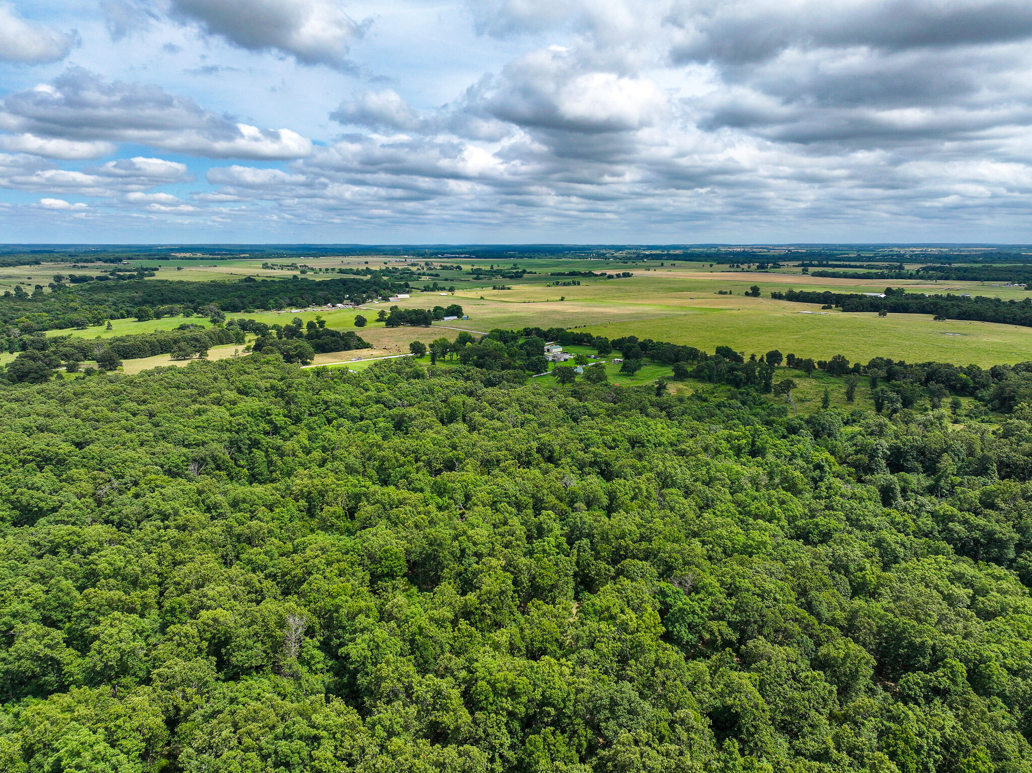 Photo 16 - Land for sale – 0000 SE 1151 Road  Collins, MO