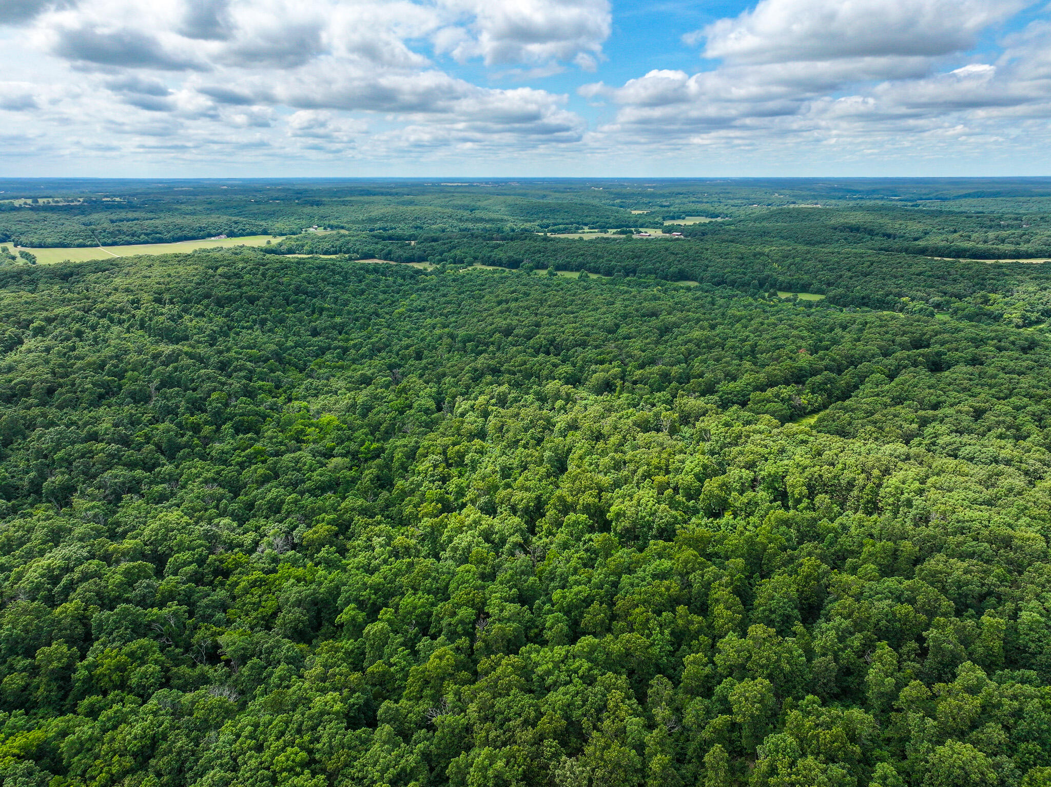 Photo 37 - Land for sale – 0000 SE 1151 Road  Collins, MO