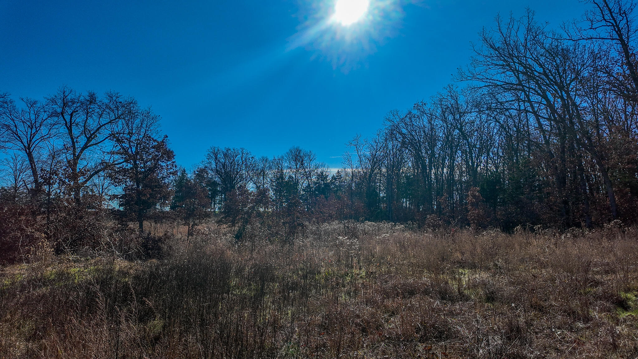 Photo 35 - Land for sale – 0000 SE 1151 Road  Collins, MO