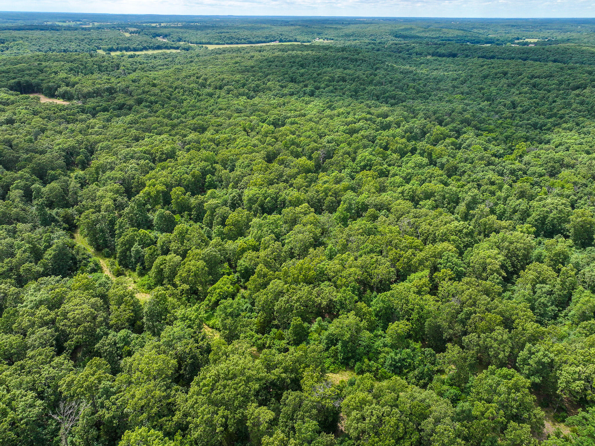 Photo 21 - Land for sale – 0000 SE 1151 Road  Collins, MO
