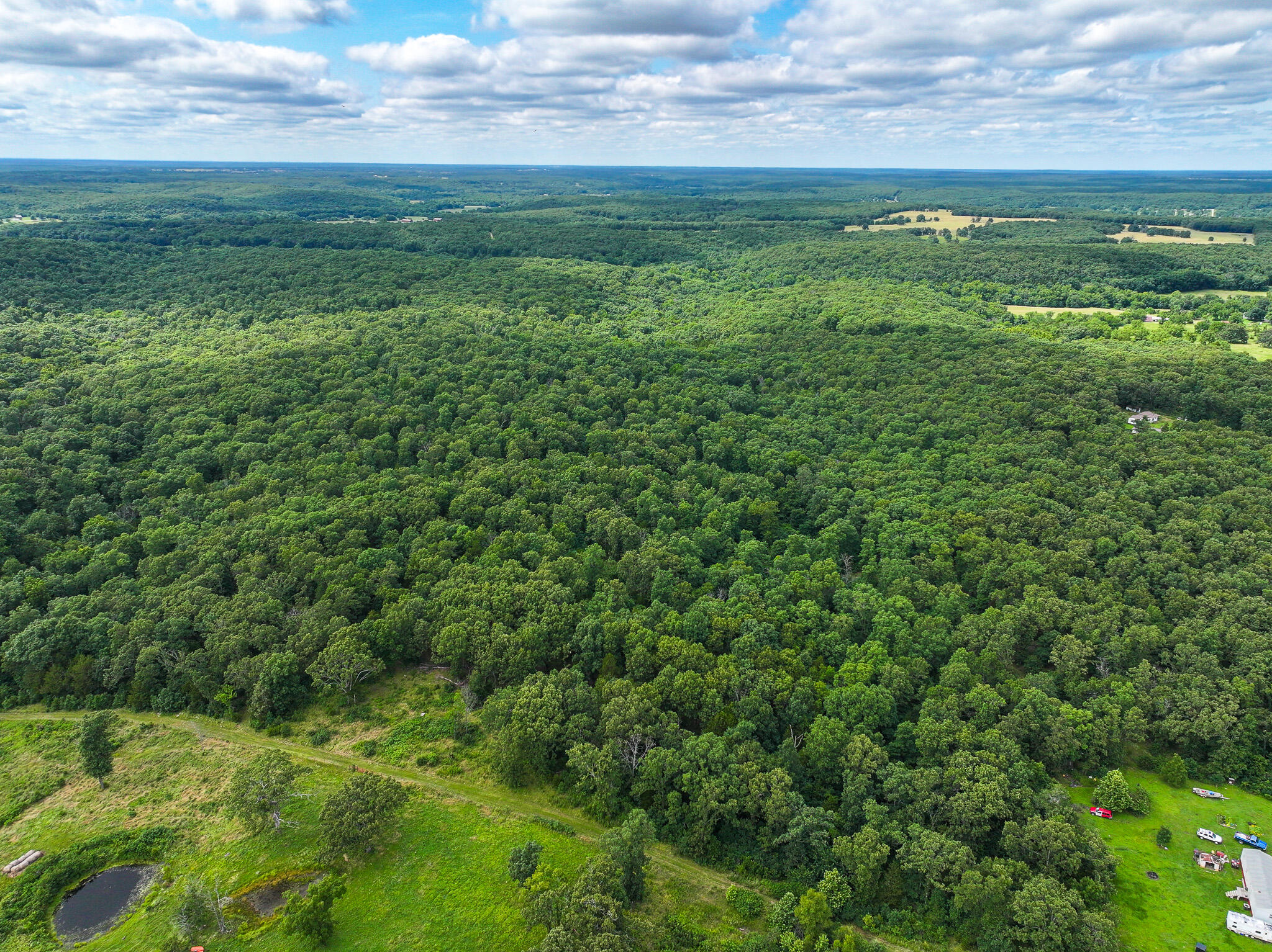 Photo 26 - Land for sale – 0000 SE 1151 Road  Collins, MO