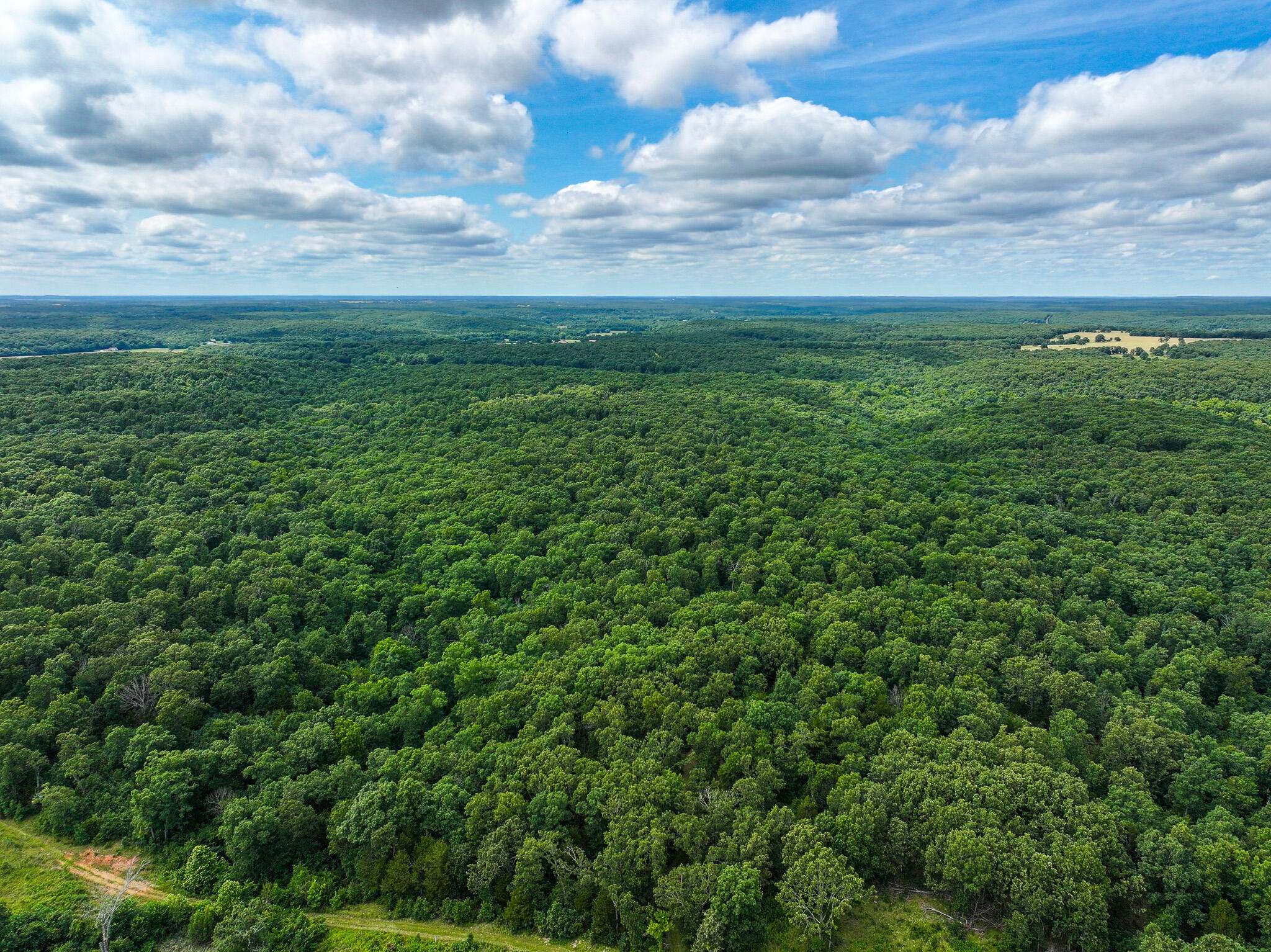 Photo 39 - Land for sale – 0000 SE 1151 Road  Collins, MO