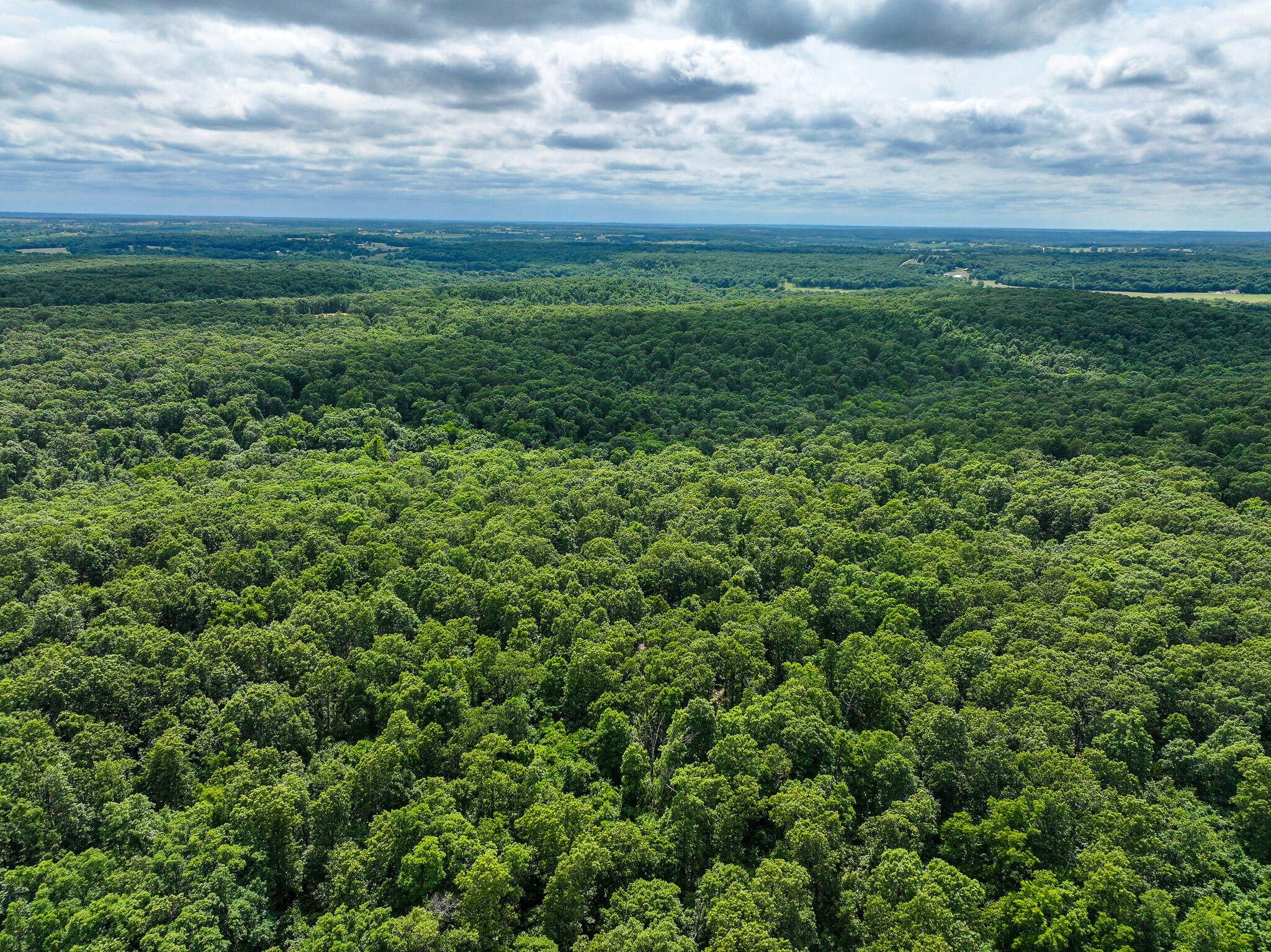 Photo 13 - Land for sale – 0000 SE 1151 Road  Collins, MO