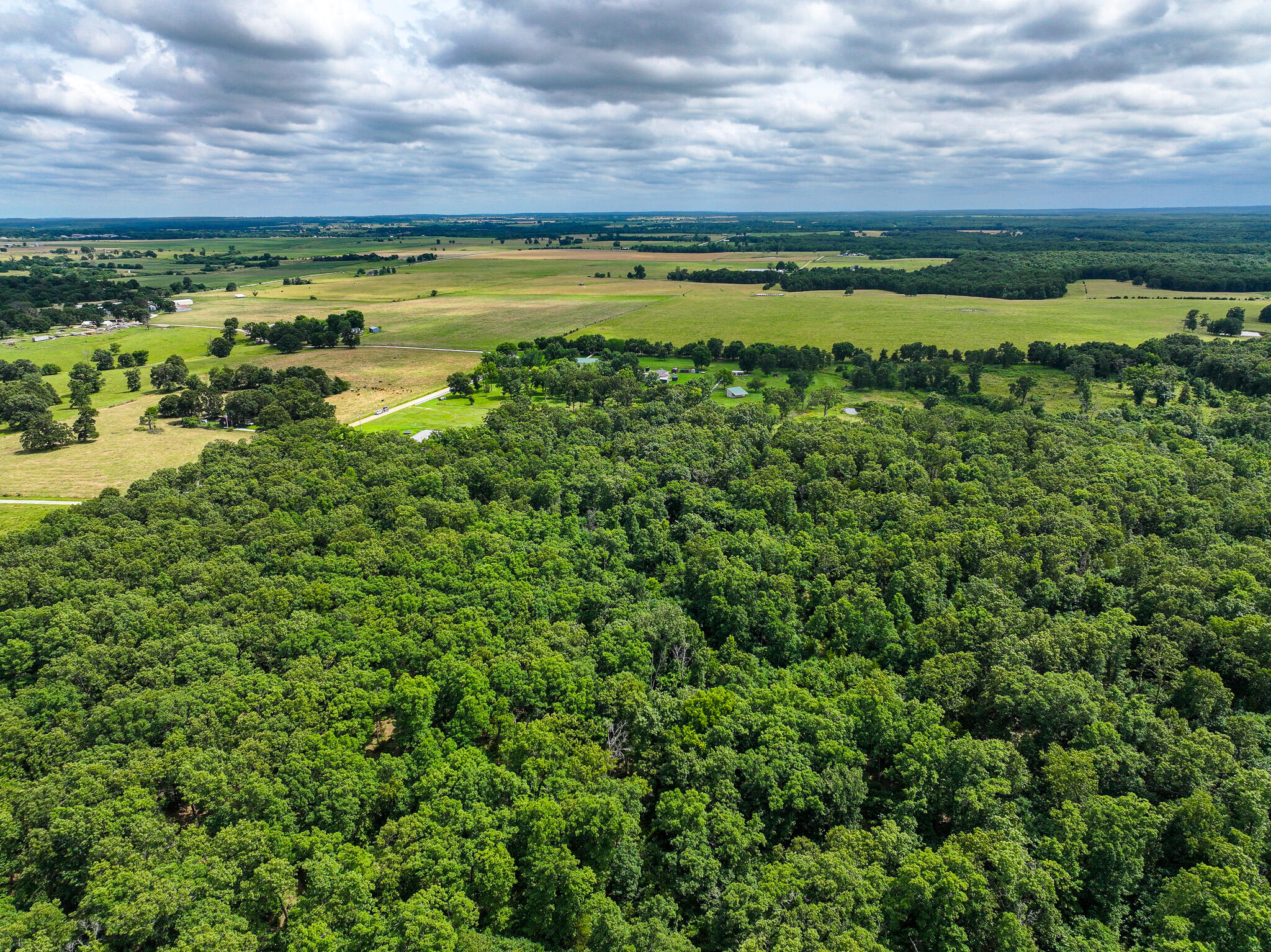 Photo 12 - Land for sale – 0000 SE 1151 Road  Collins, MO