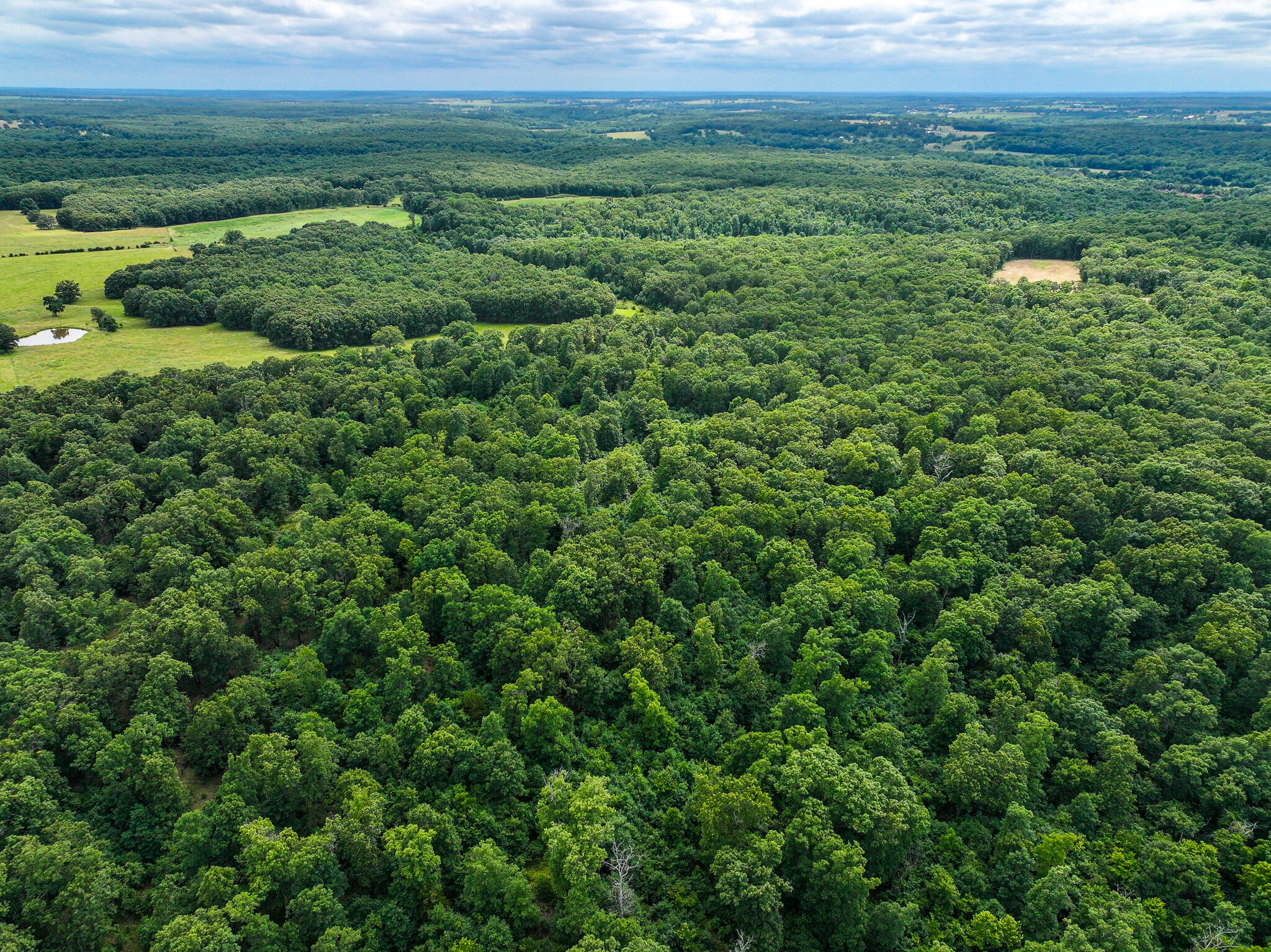 Photo 33 - Land for sale – 0000 SE 1151 Road  Collins, MO