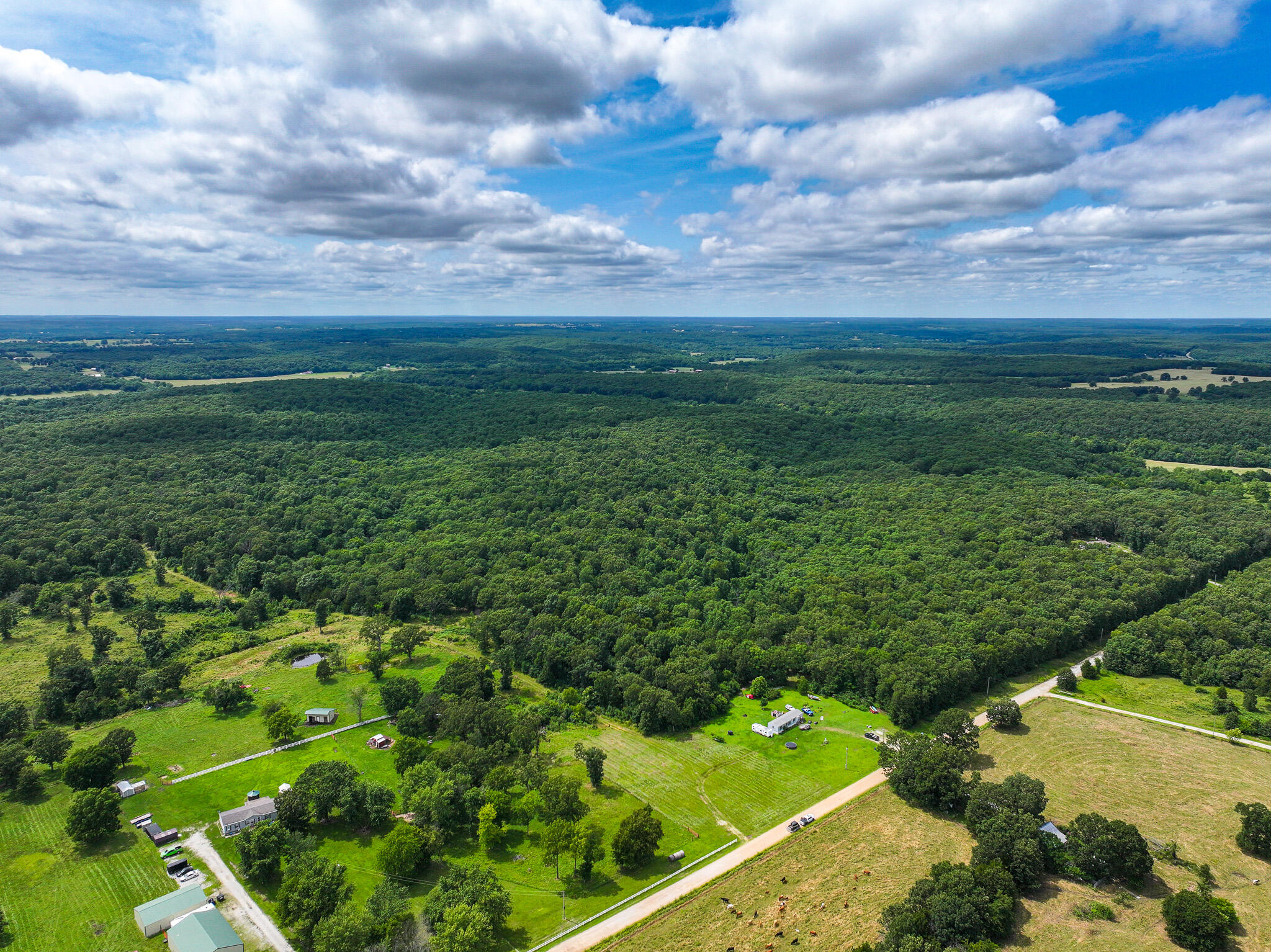 Photo 3 - Land for sale – 0000 SE 1151 Road  Collins, MO