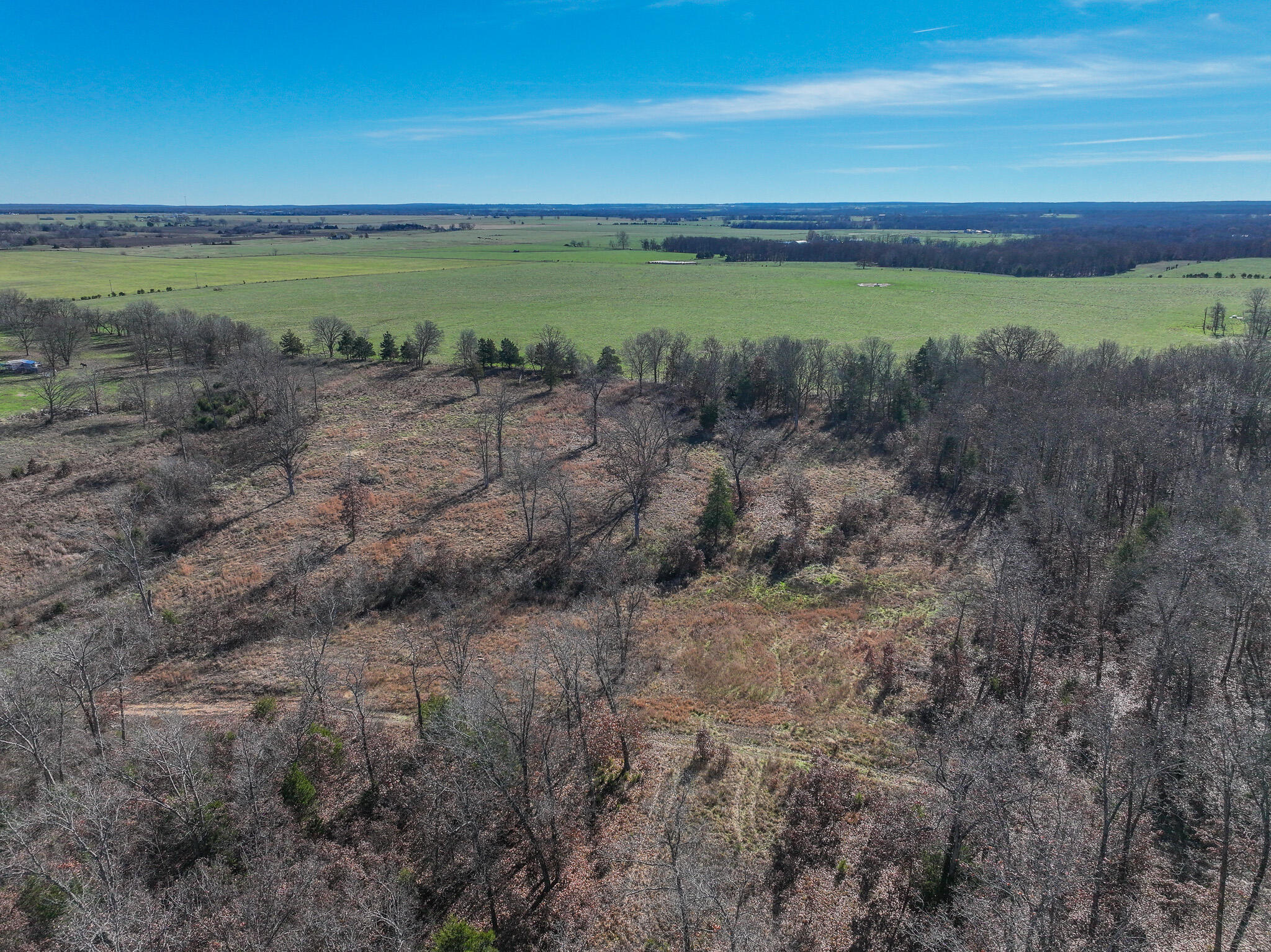 Photo 8 - Land for sale – 0000 SE 1151 Road  Collins, MO