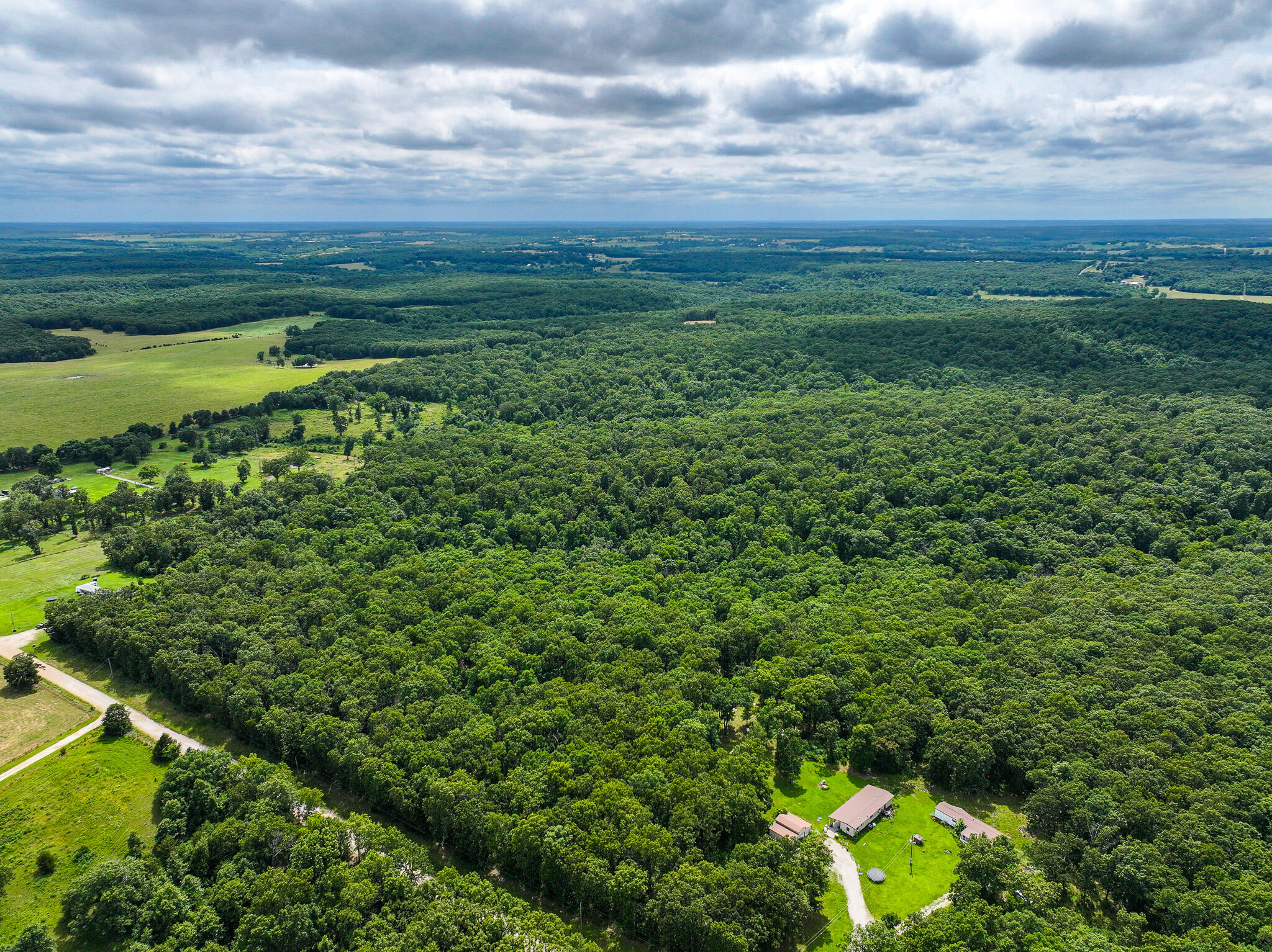 Photo 9 - Land for sale – 0000 SE 1151 Road  Collins, MO