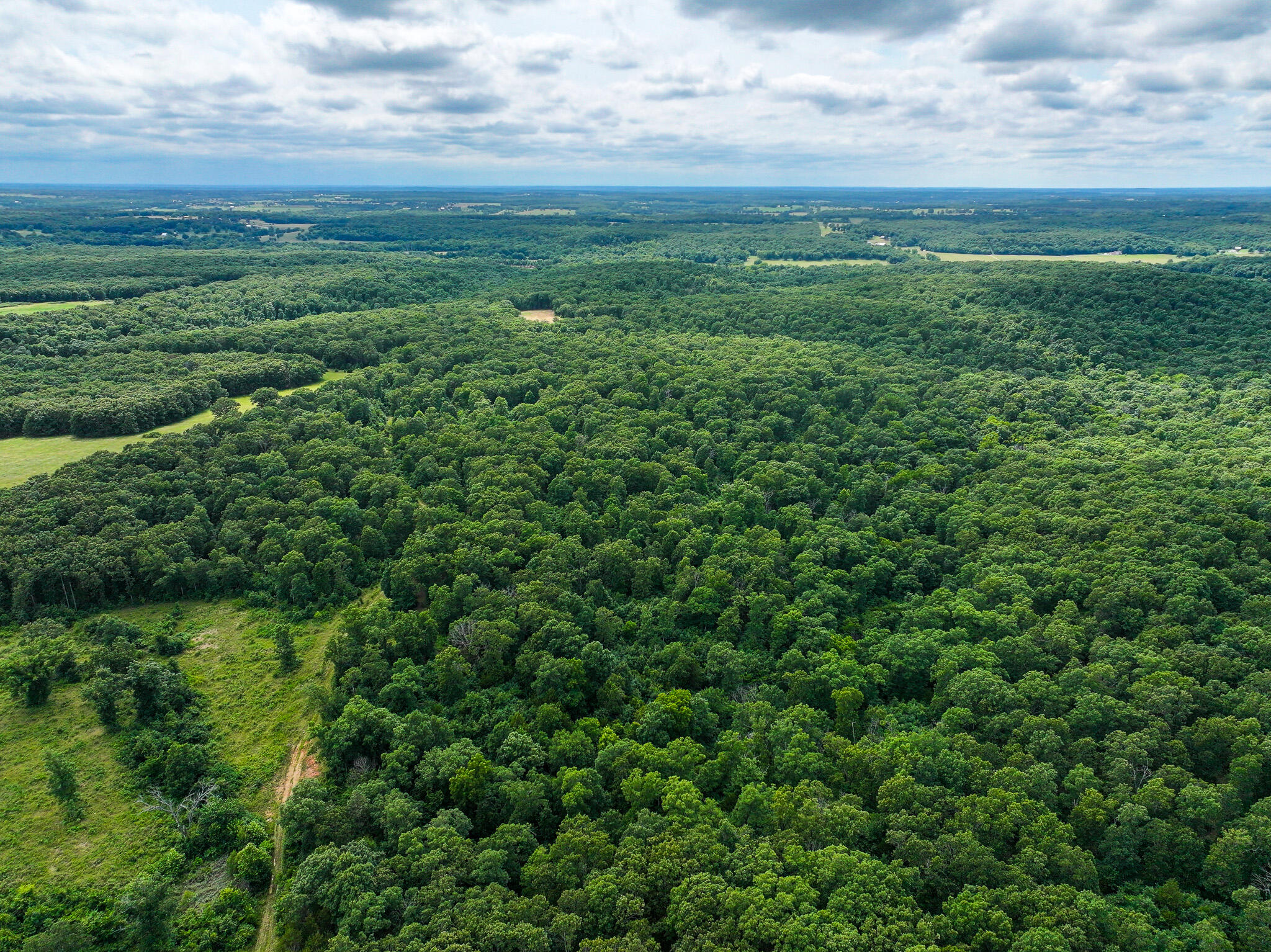 Photo 27 - Land for sale – 0000 SE 1151 Road  Collins, MO
