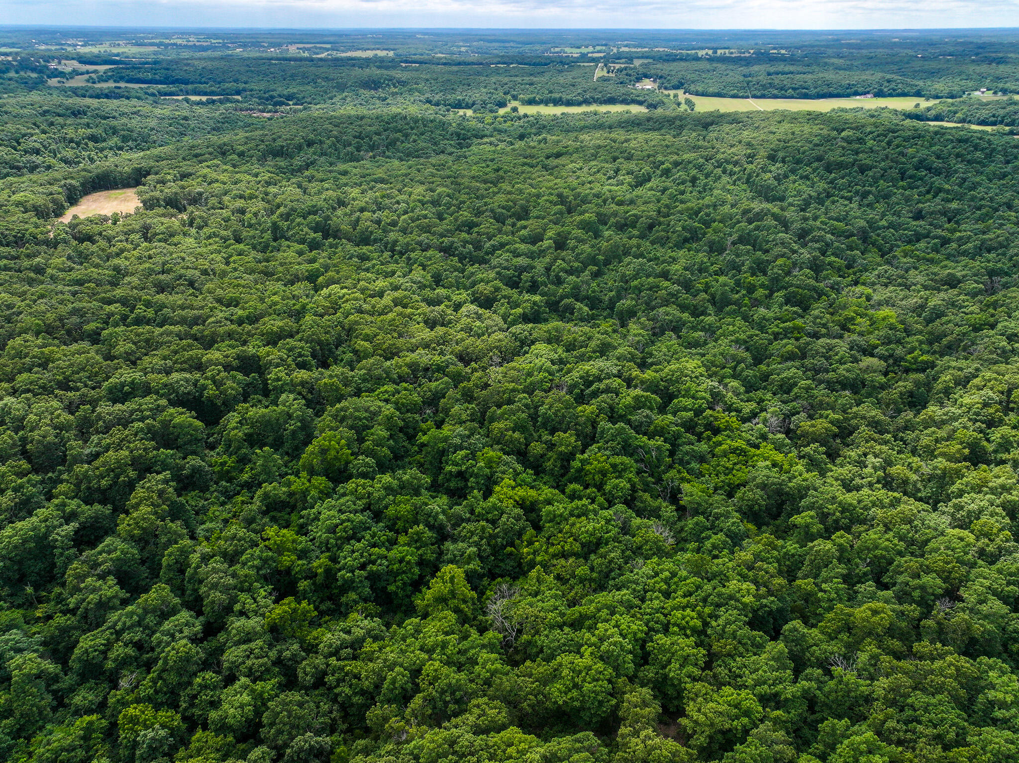 Photo 36 - Land for sale – 0000 SE 1151 Road  Collins, MO
