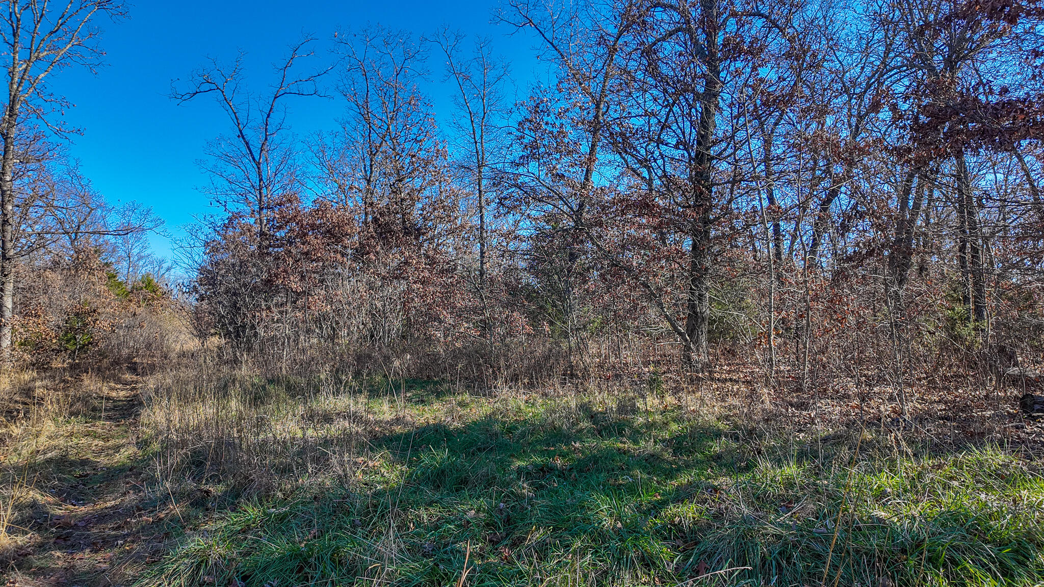 Photo 30 - Land for sale – 0000 SE 1151 Road  Collins, MO