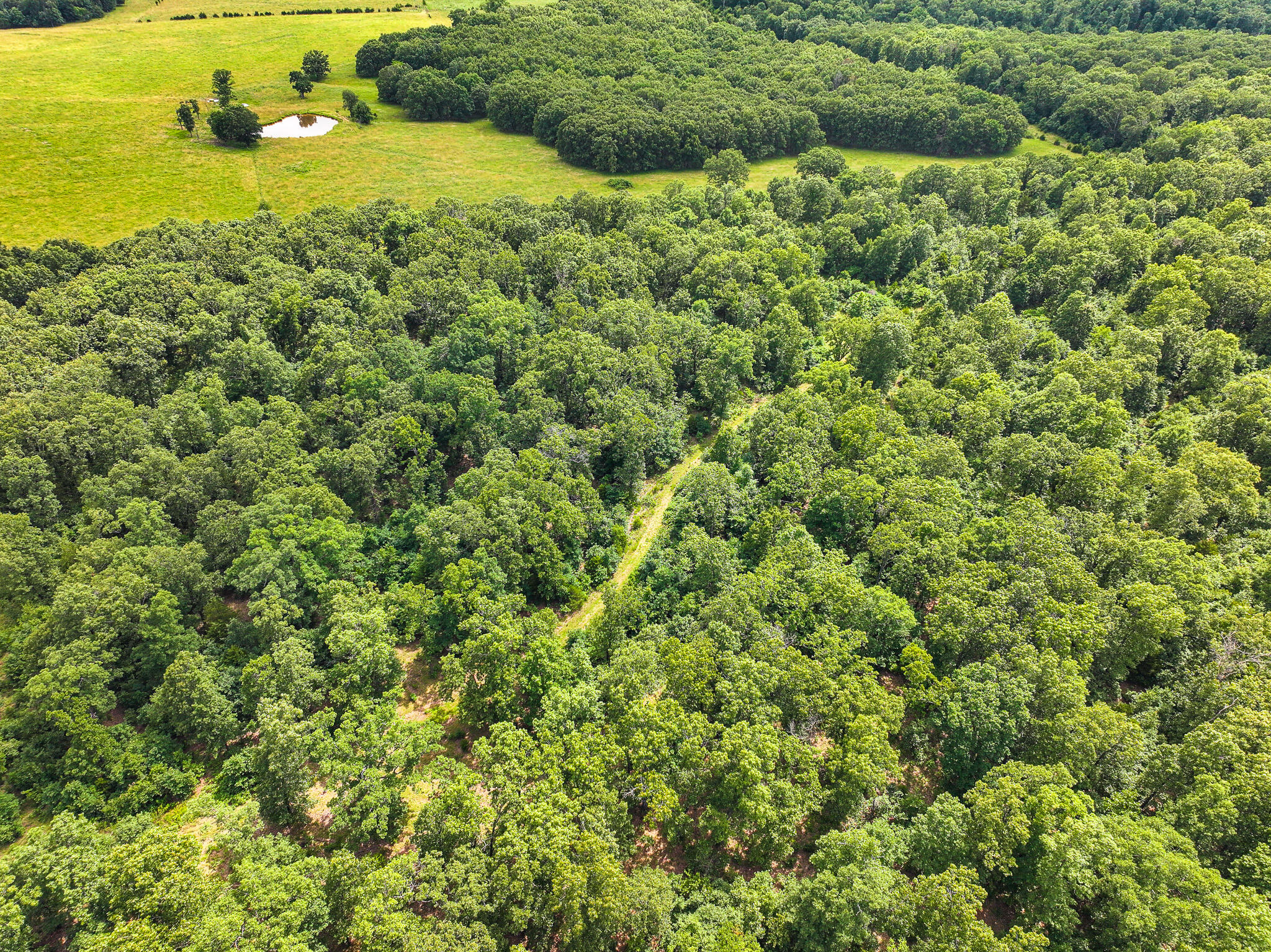Photo 19 - Land for sale – 0000 SE 1151 Road  Collins, MO