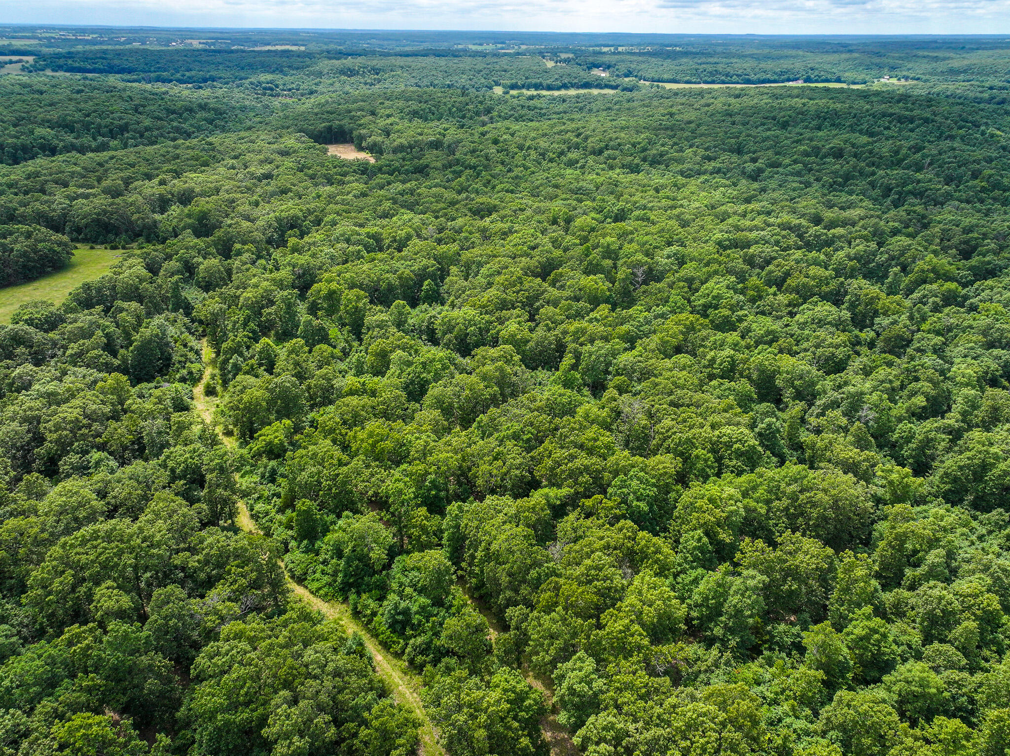 Photo 20 - Land for sale – 0000 SE 1151 Road  Collins, MO
