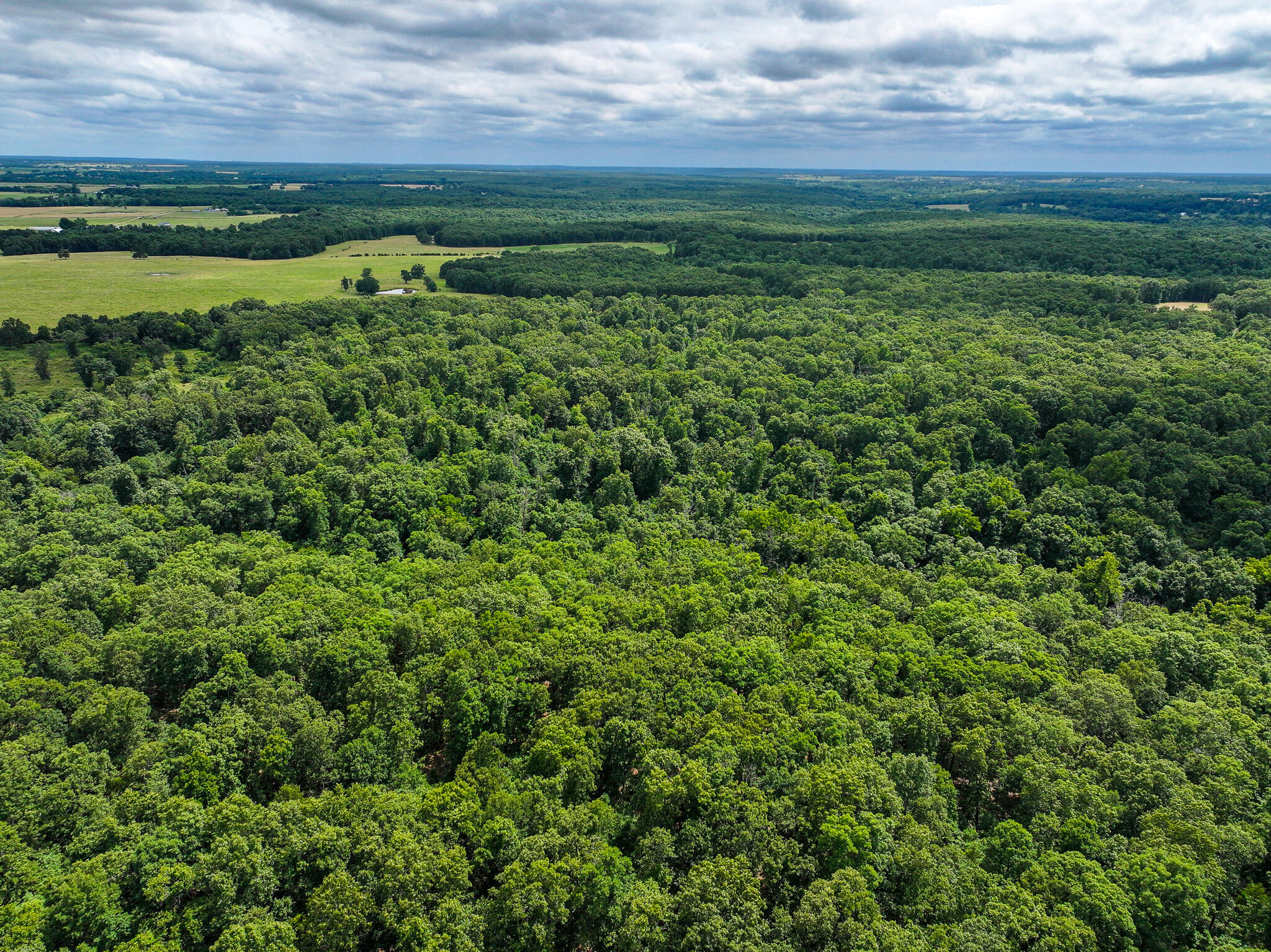 Photo 17 - Land for sale – 0000 SE 1151 Road  Collins, MO