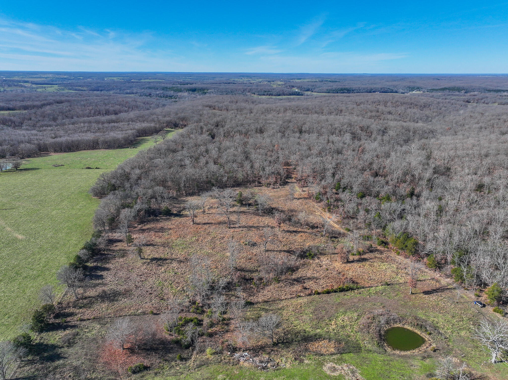 Photo 24 - Land for sale – 0000 SE 1151 Road  Collins, MO
