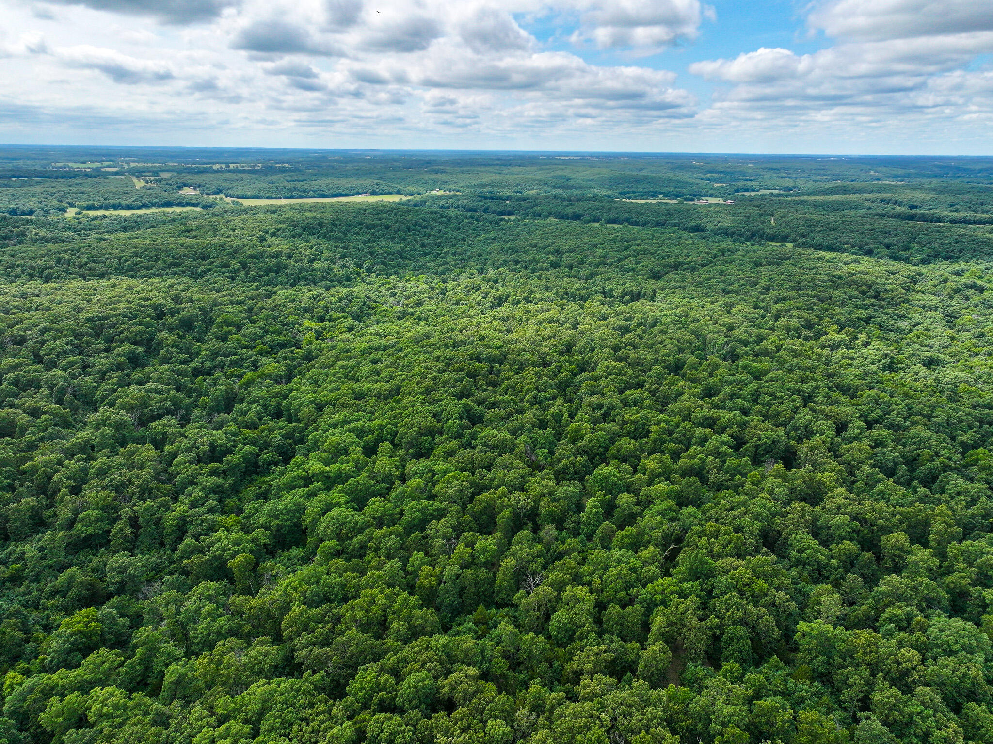 Photo 28 - Land for sale – 0000 SE 1151 Road  Collins, MO