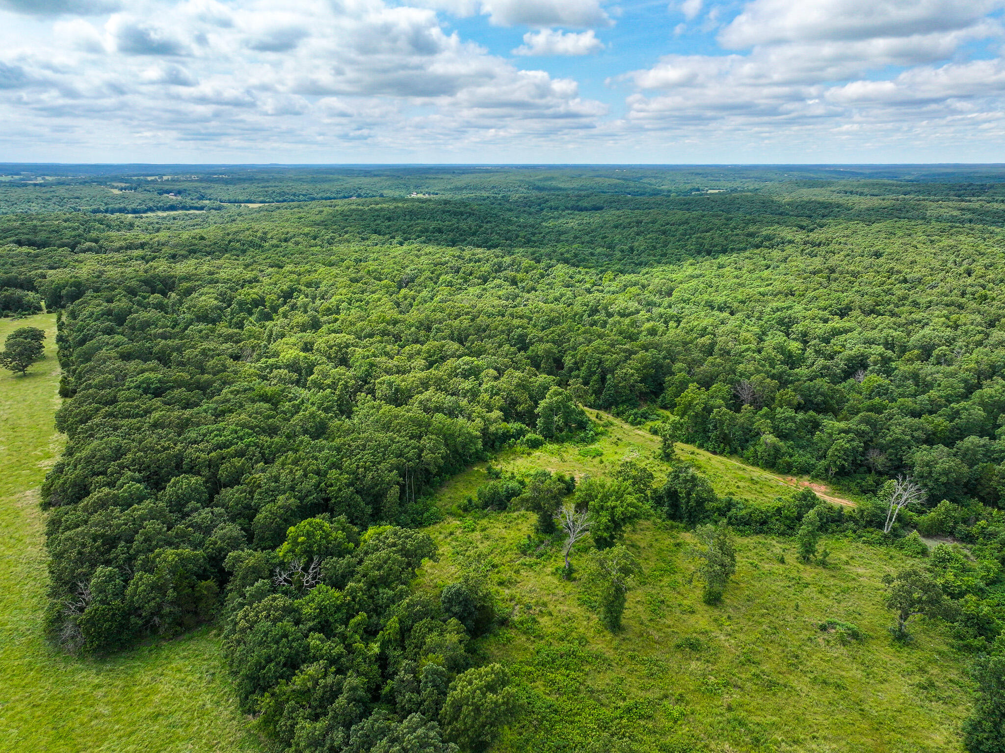 Photo 22 - Land for sale – 0000 SE 1151 Road  Collins, MO